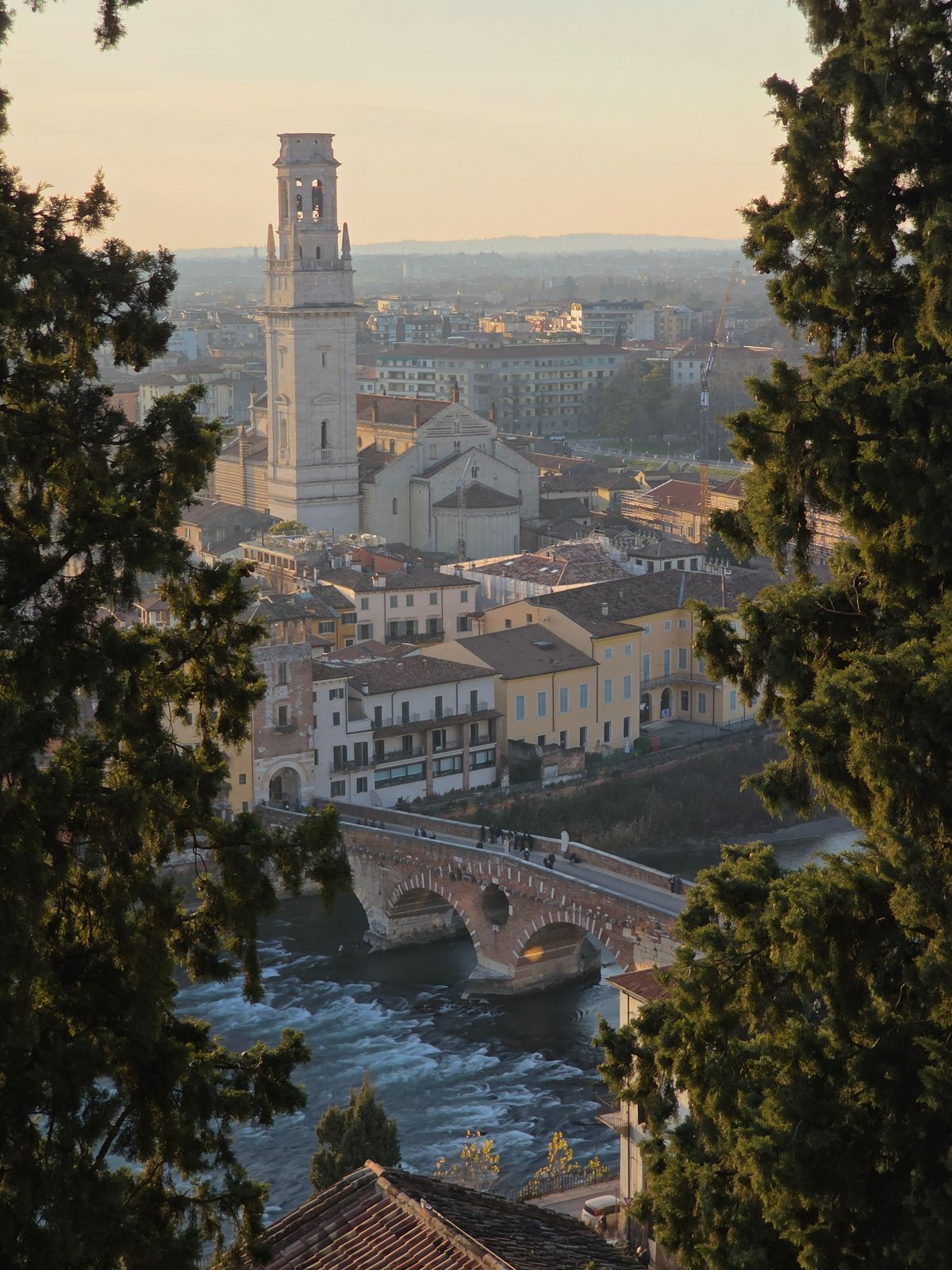 Unde te cazezi în Verona - Veronetta, Ponte Pietra peste Adige, între copaci