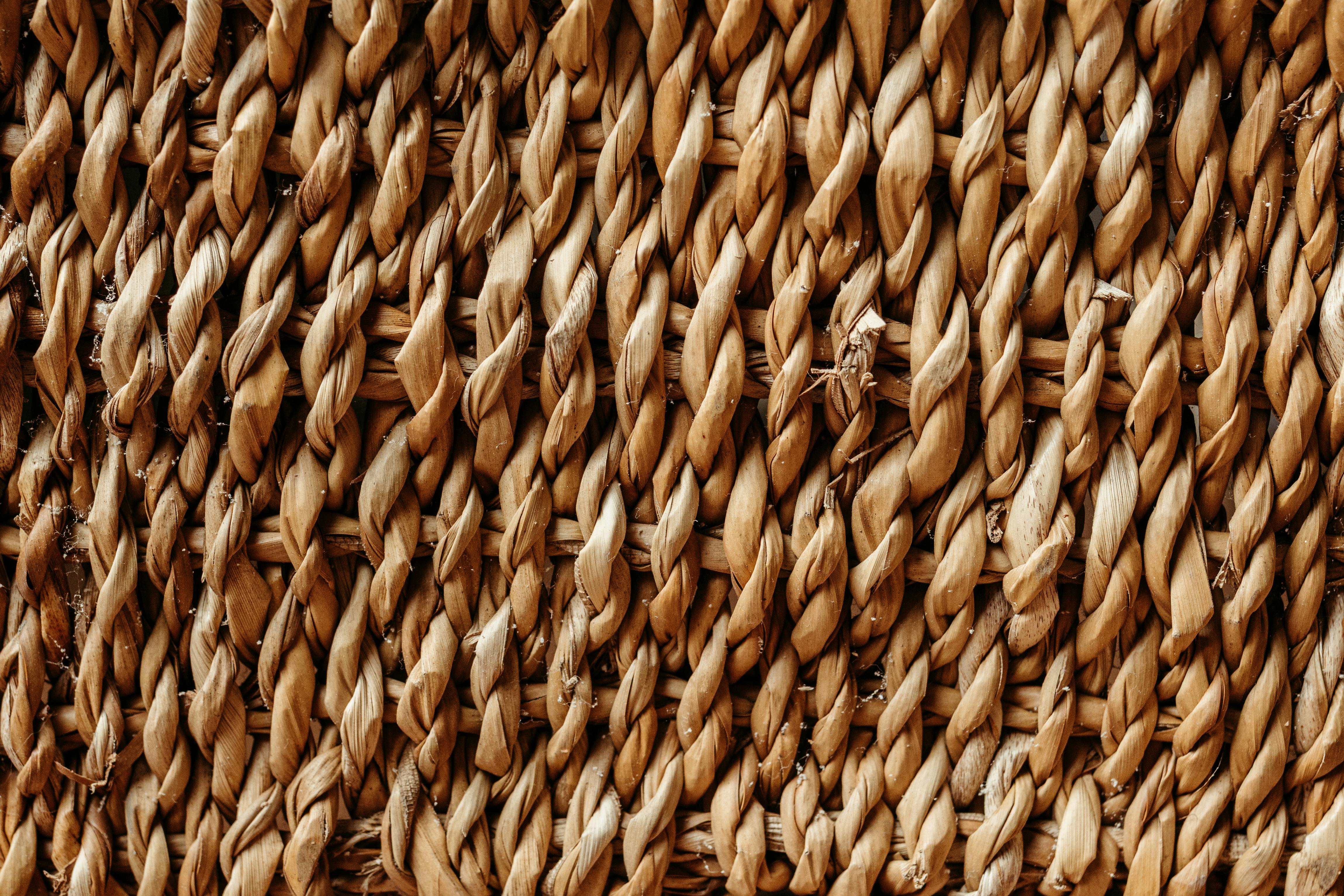 Ücretsiz artistik, ayrıntı, borba içeren Ücretsiz stok fotoğraf Stok Fotoğraflar