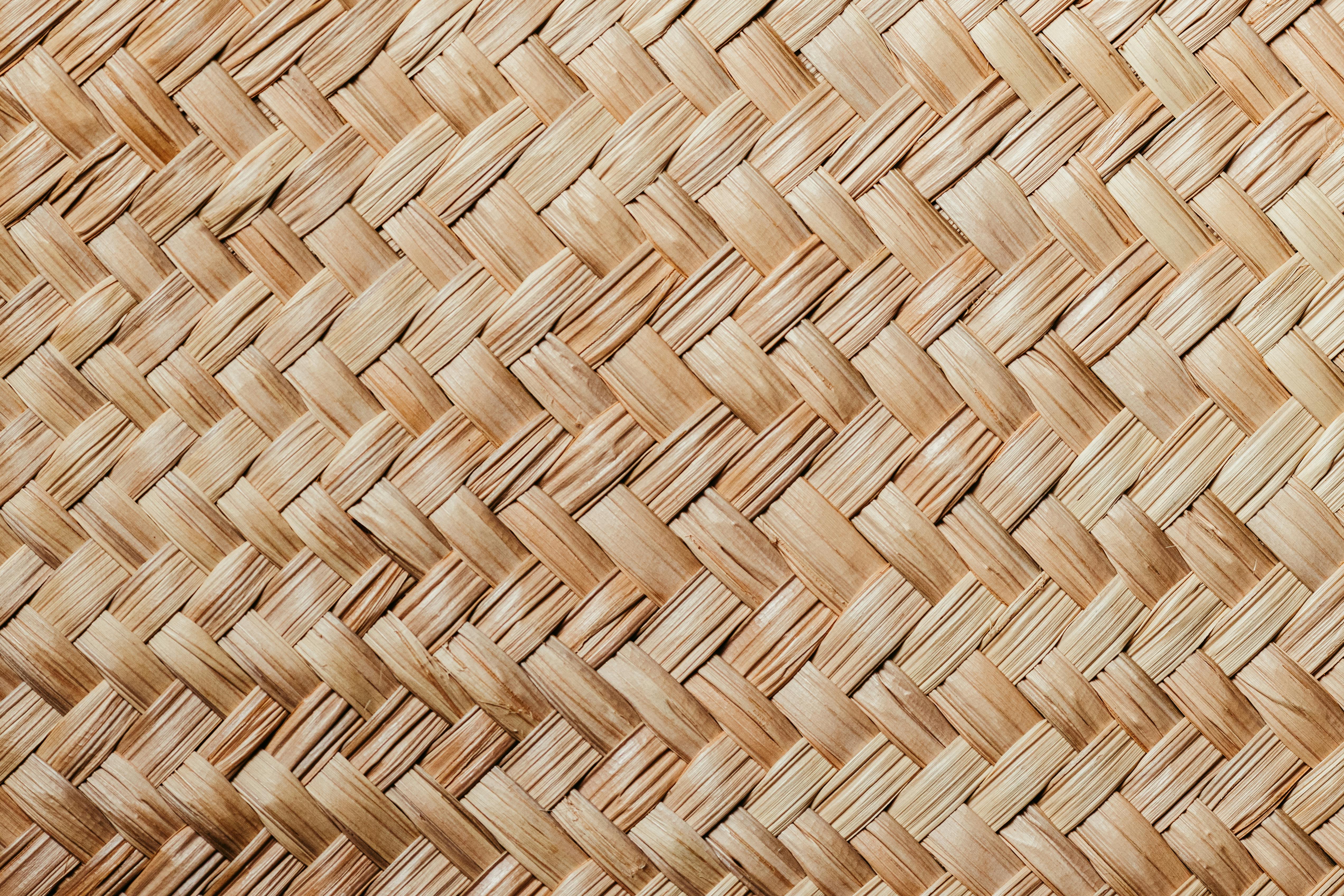 Ücretsiz arka fon, borba, çevre dostu içeren Ücretsiz stok fotoğraf Stok Fotoğraflar