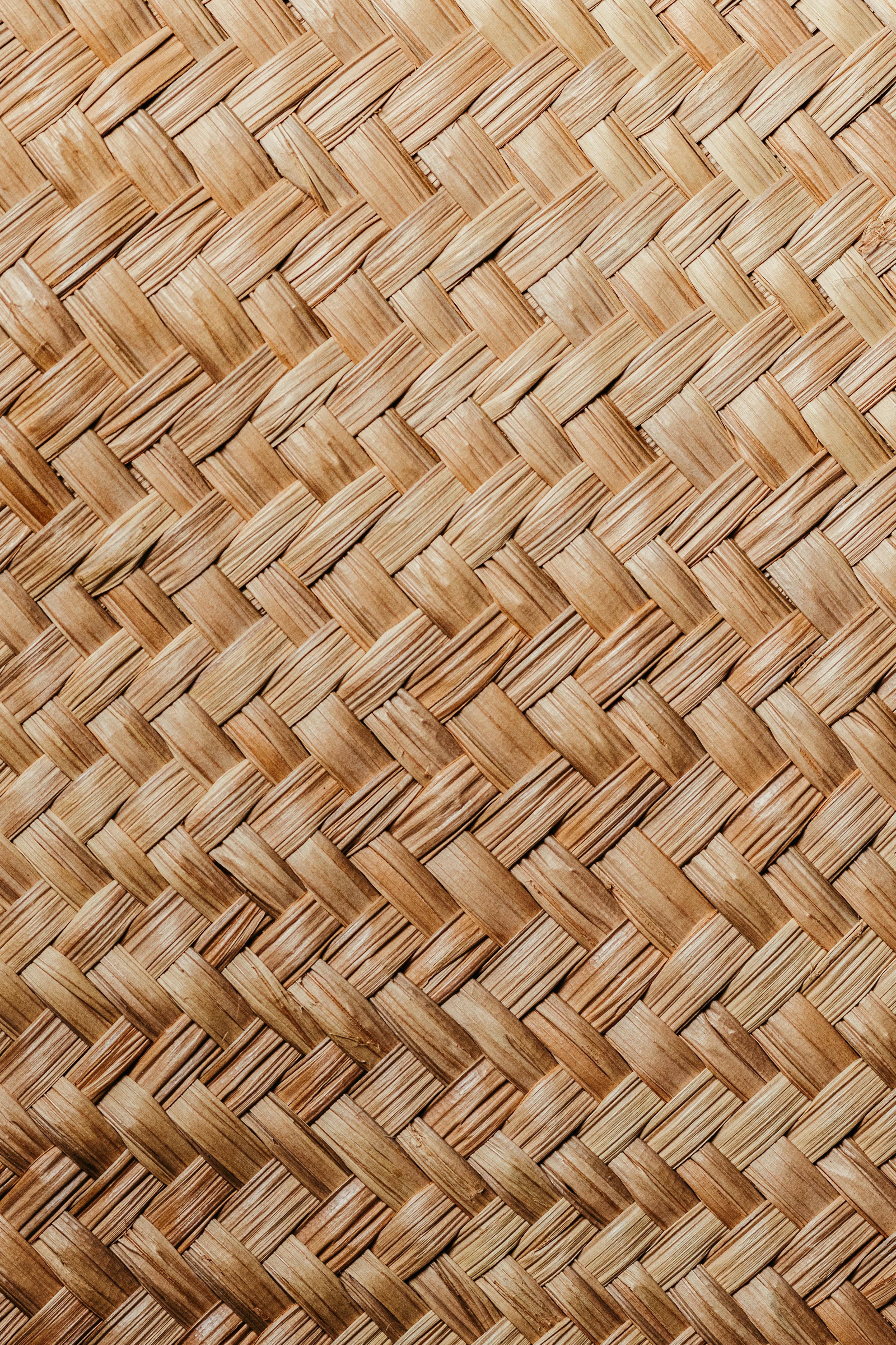 Ücretsiz arka fon, borba, çevre dostu içeren Ücretsiz stok fotoğraf Stok Fotoğraflar