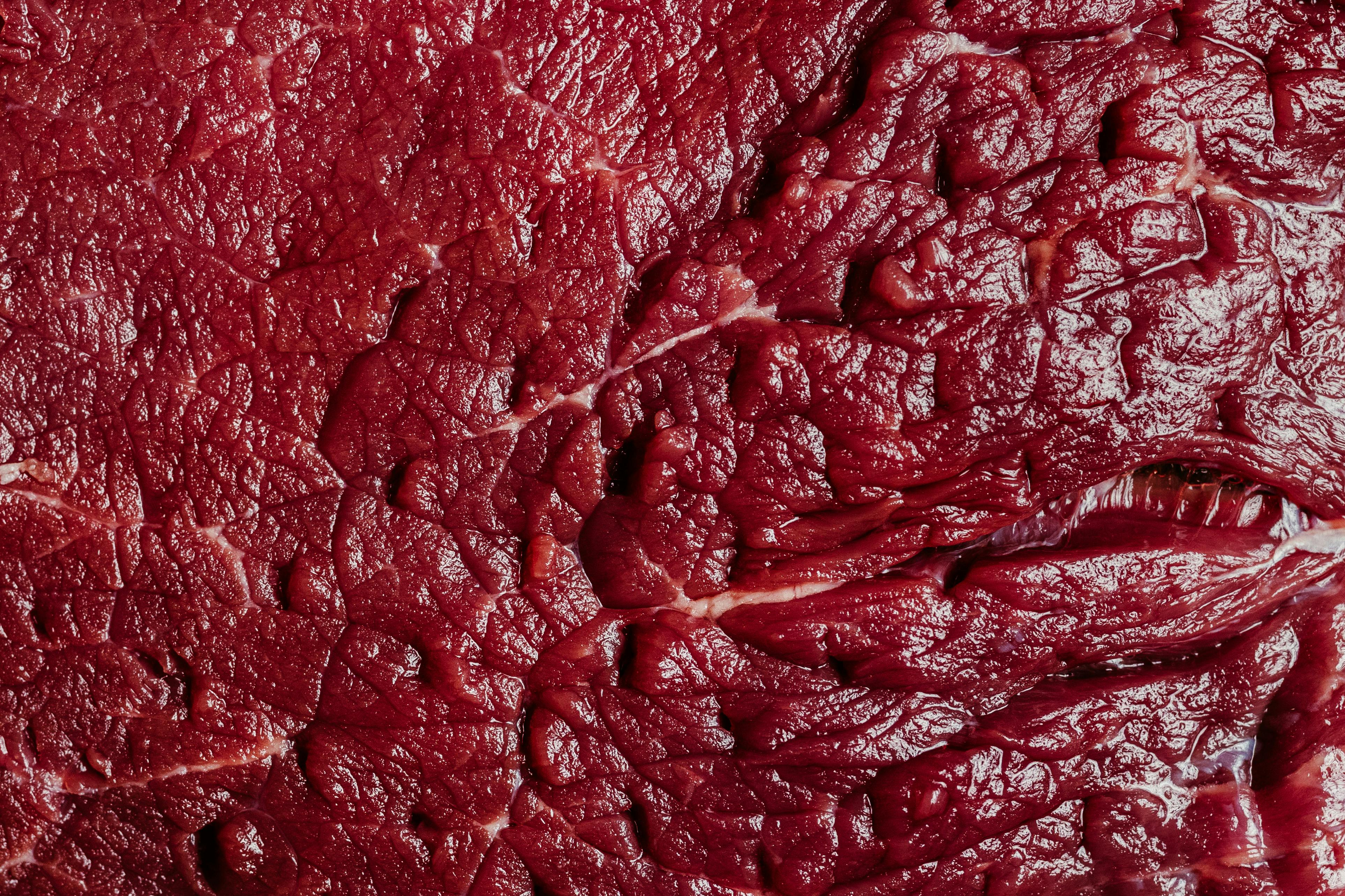 The Endless Excuses: How Meat-Eaters Justify the Unjustifiable - Photo by Jonathan Borba