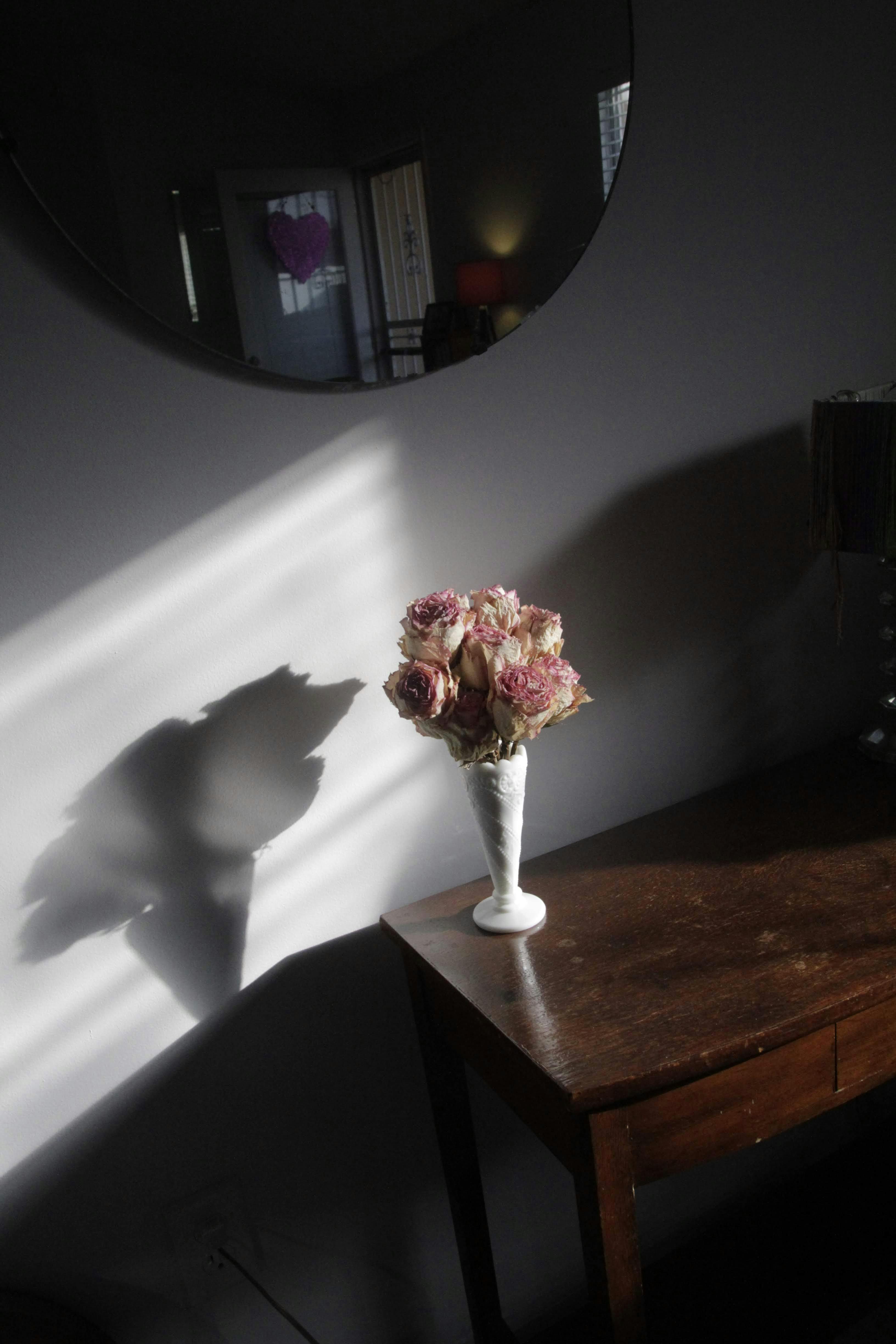 Free A vase of dried roses casting a dramatic shadow on a minimalist tabletop. Stock Photo