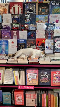 Free stock photo of book, cat, gato