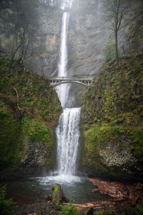 Free Stunning waterfall view at Multnomah Falls with moss-covered cliffs and Benson Bridge. Stock Photo