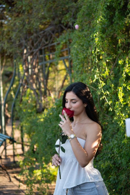 Free A young woman in a garden enjoys the scent of a red rose amidst lush greenery. Stock Photo