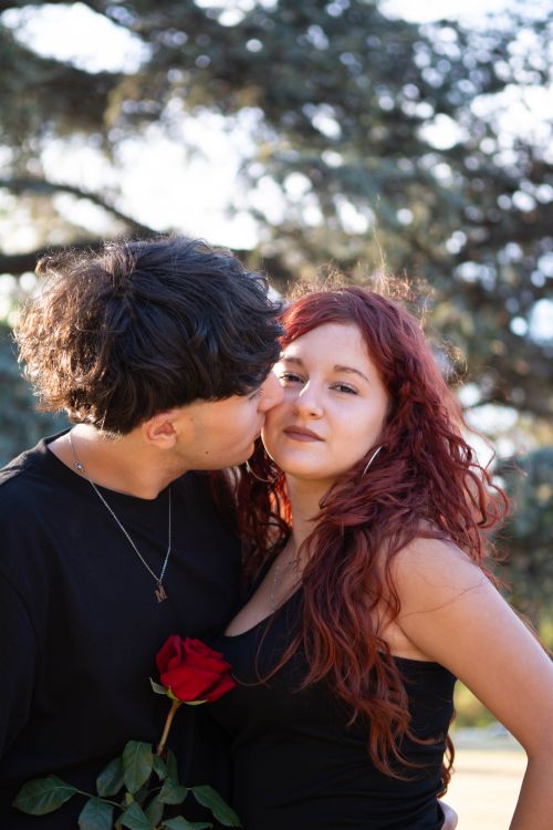 Free A couple sharing a loving kiss in a sunlit park setting, holding a red rose. Stock Photo