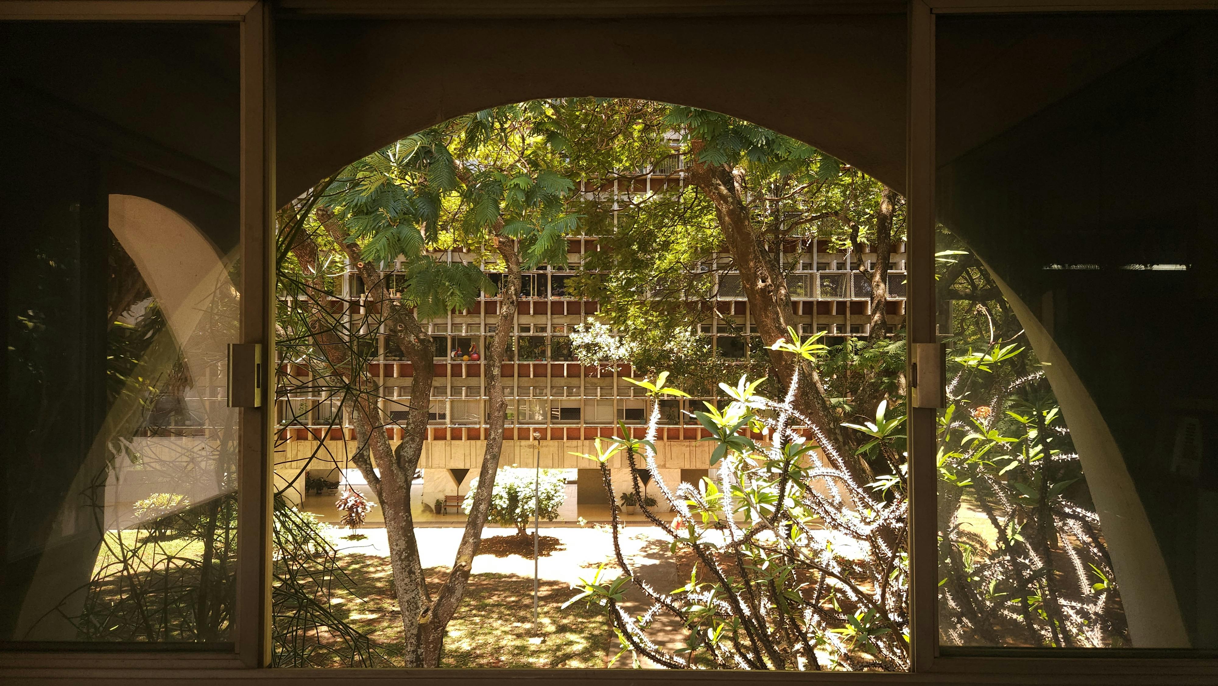 Gratis Una vista panoramica da una finestra interna che mostra alberi e la facciata di un edificio in una giornata di sole. Foto a disposizione