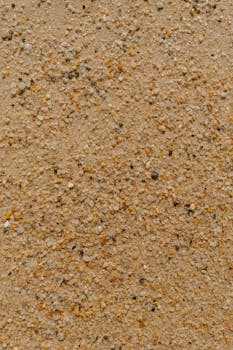 Free stock photo of amarelo, laranja, mar