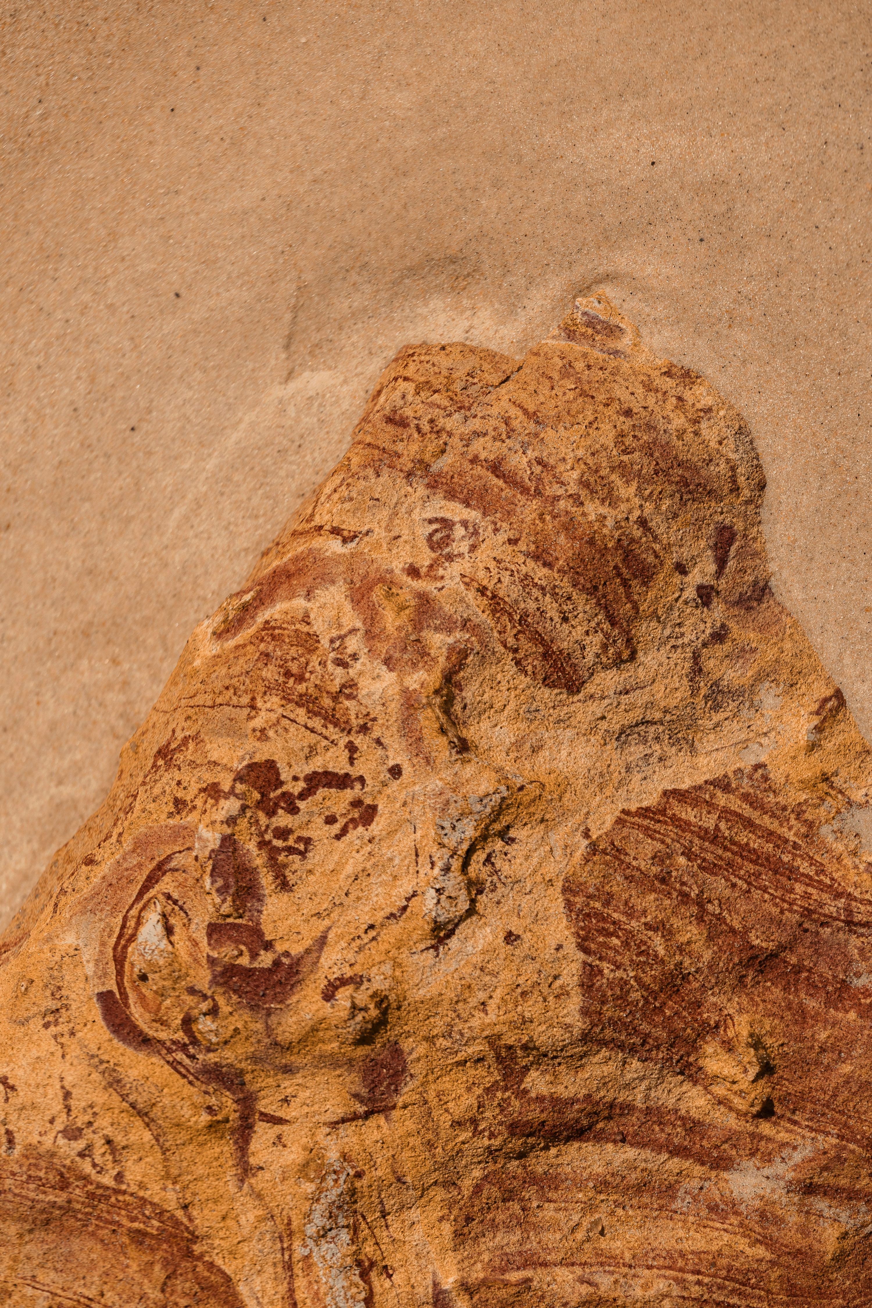 Merzouga Fossil Mines