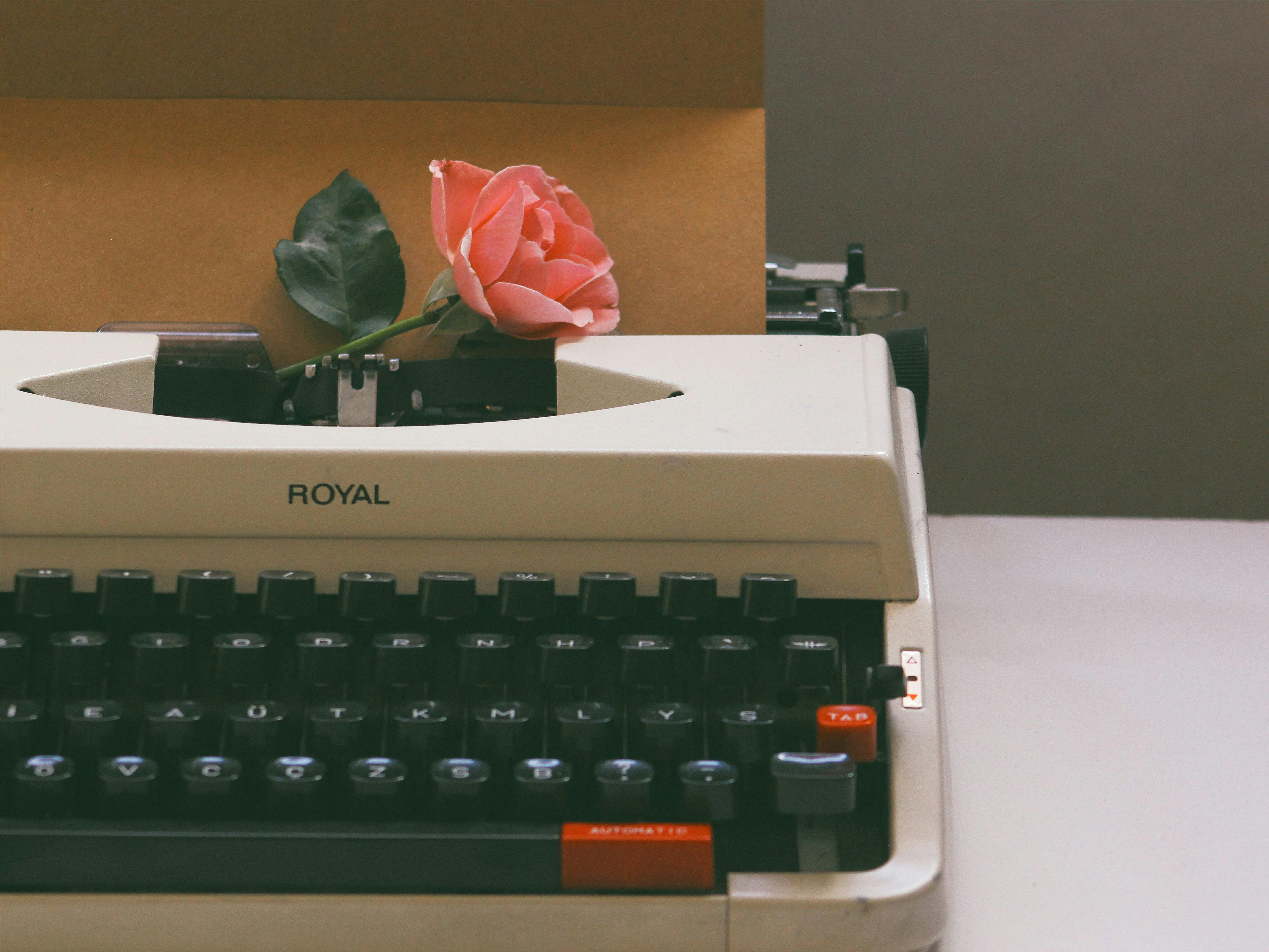 Free A vintage typewriter holds a pink rose and a letter, evoking nostalgia and romance. Stock Photo