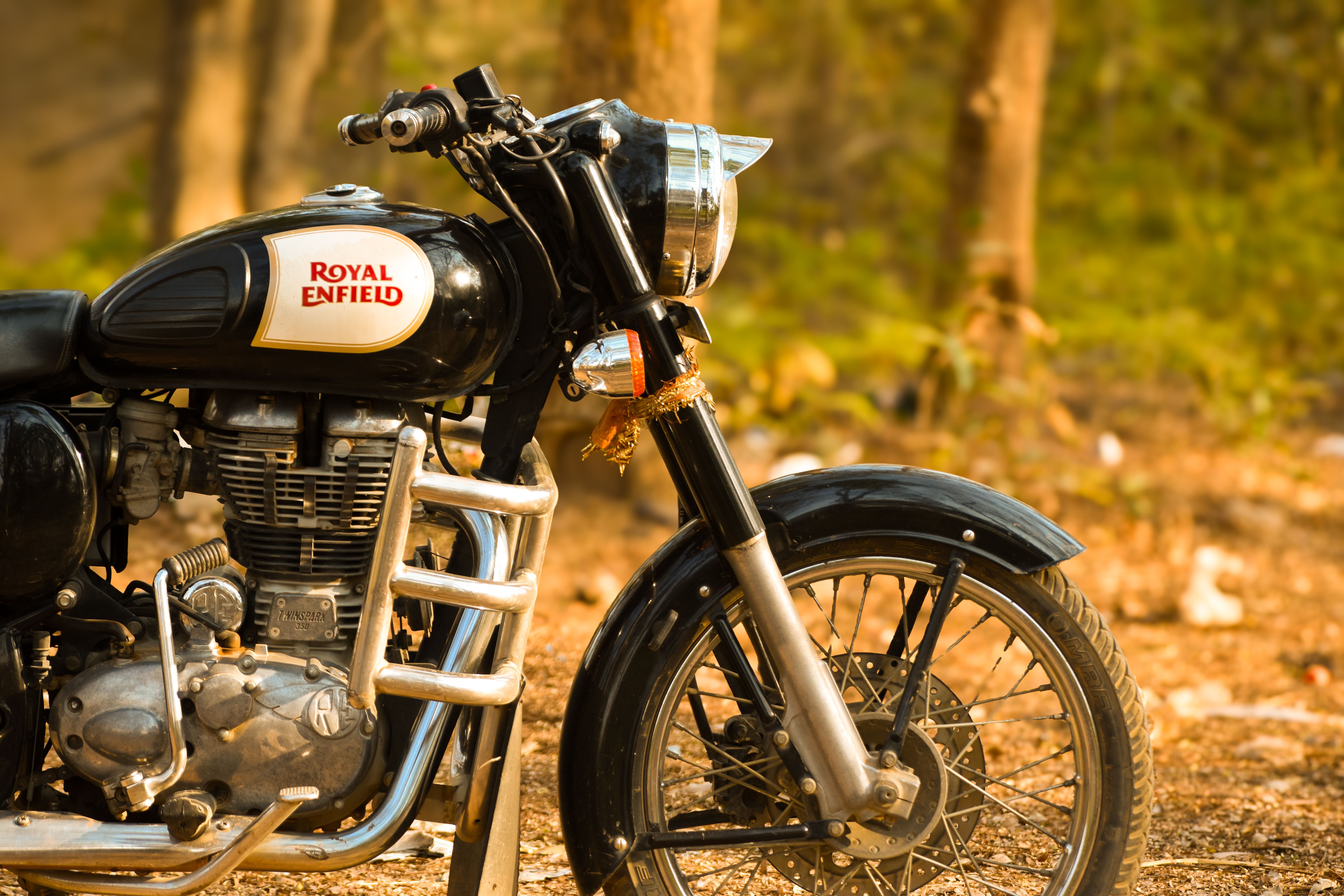 Best Adventure Motorcycles for Beginners 2026