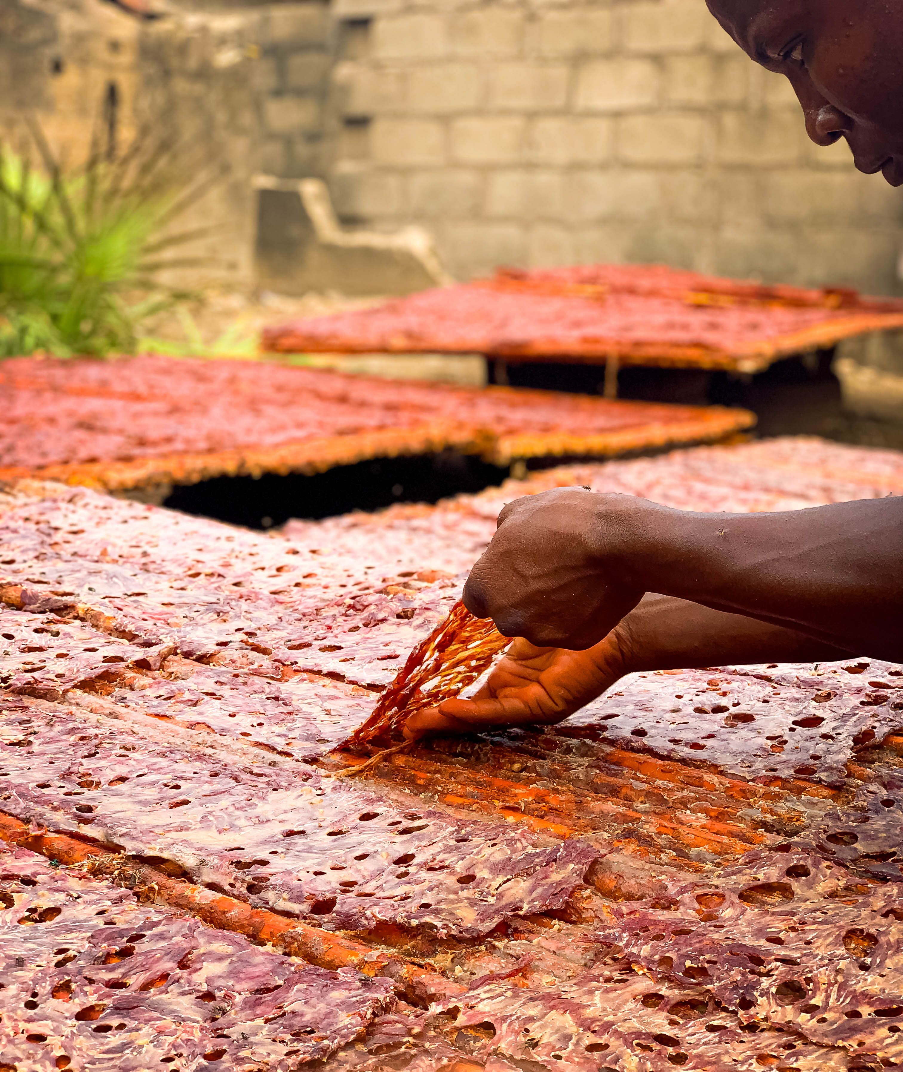Man Drying Red Pepper Outdoor in Kaduna · Free Stock Photo
