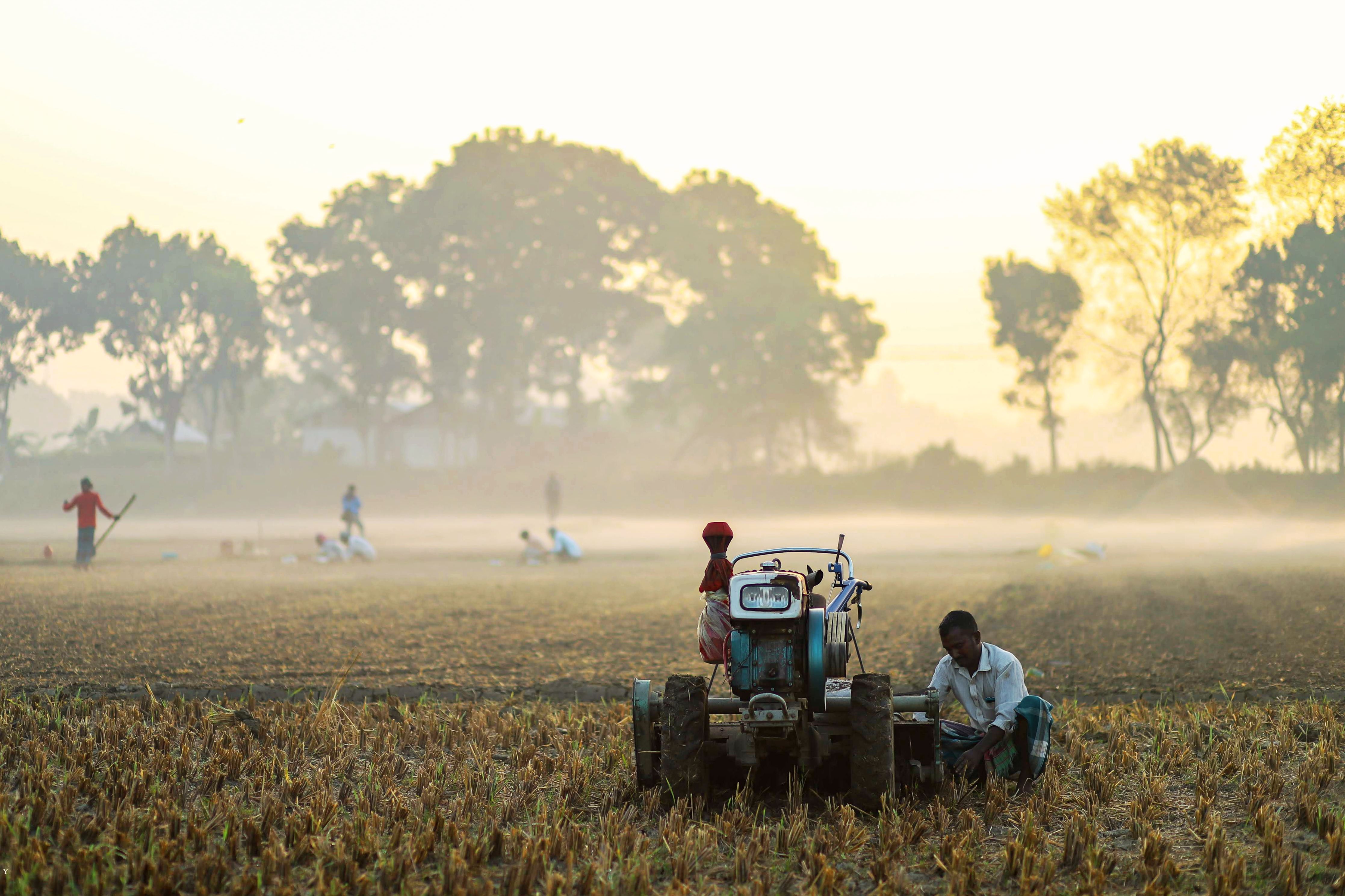 Farmers Business Insurance Review 2026: Nothing Special for Business Owners — Photo by Pritom Ghosh on Pexels