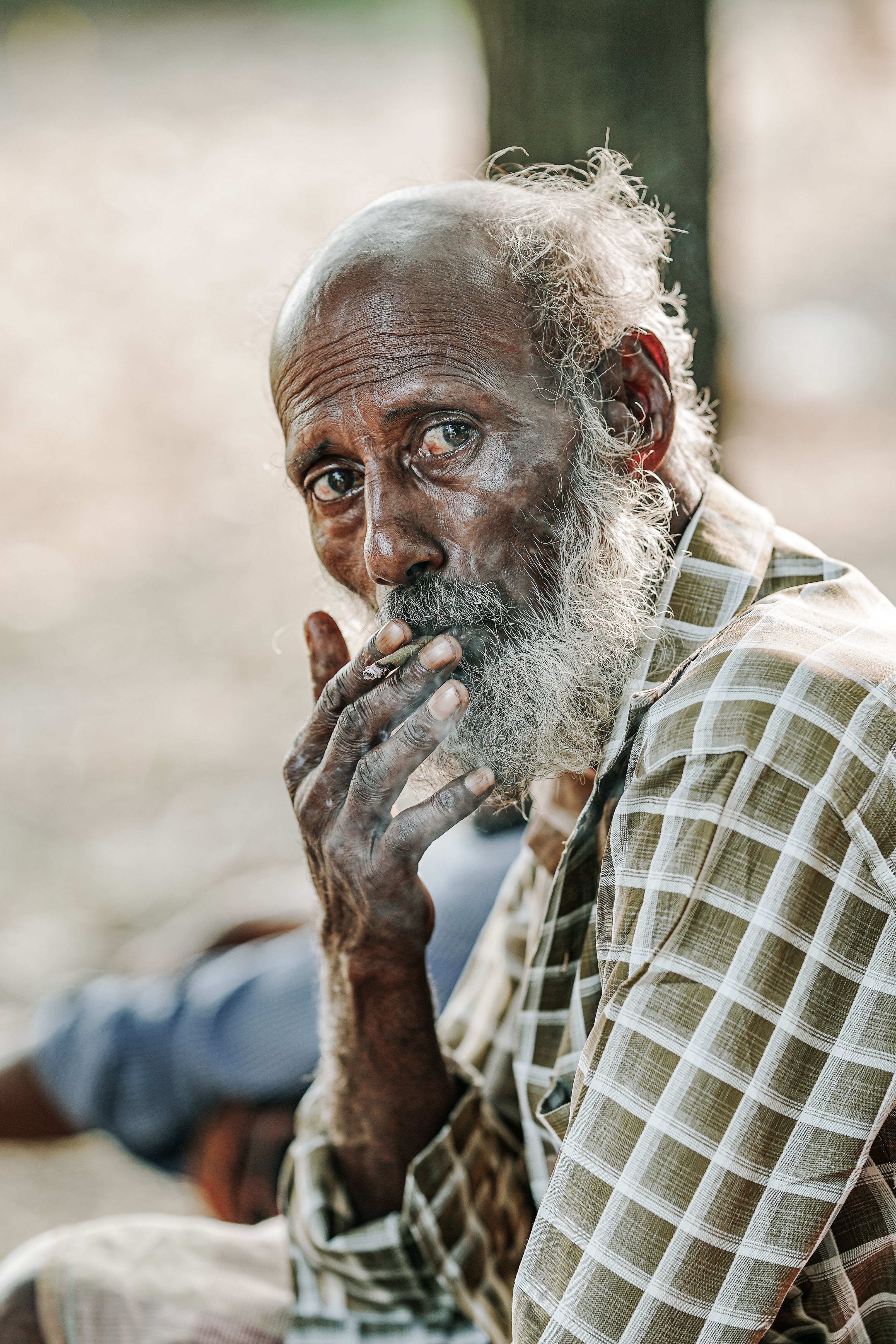 average person smokes how many cigarettes a day Here's What Just One Cigarette a Day Can Do: Premier Cardiology Consultants: Cardiologists