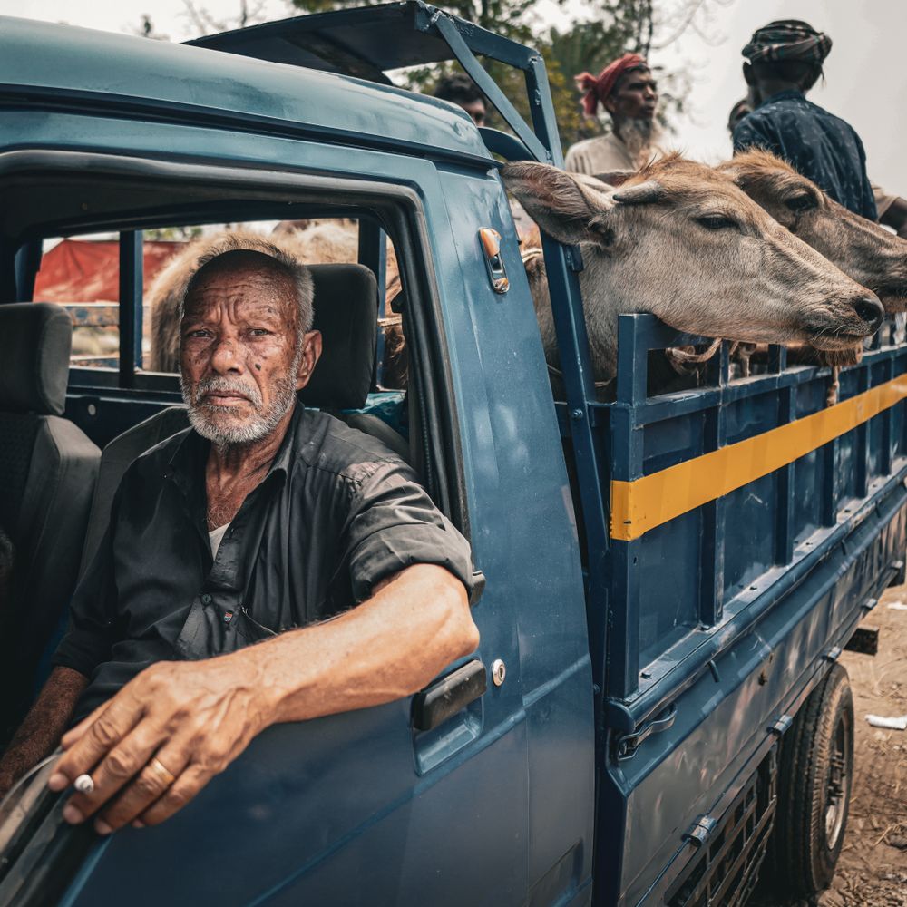 Drumoak — man and van team loading a removal van