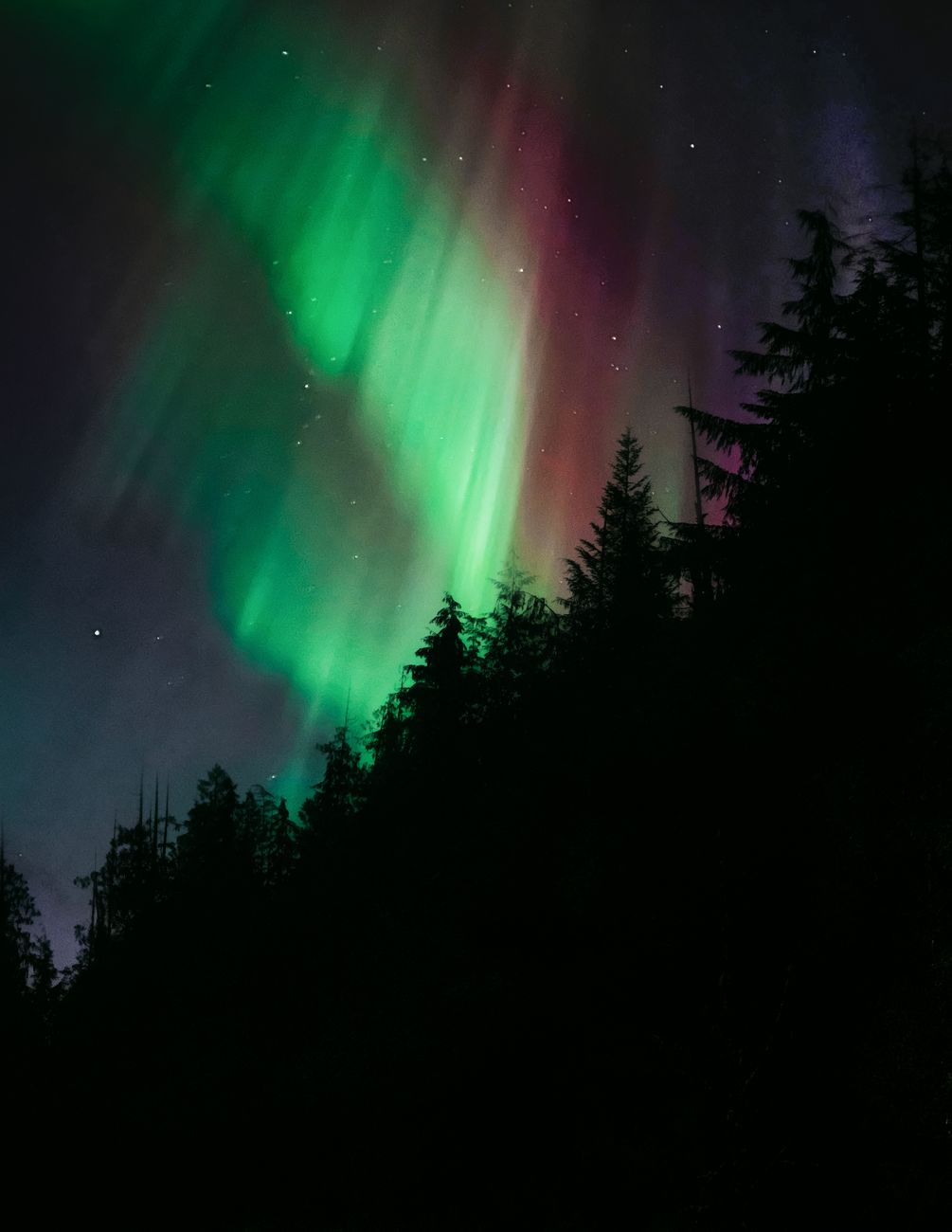 Wald & Himmel im Universum – Faszinierende Kosmos-Aufnahme (von Rian Plante, 10608×13724, #36324642)
