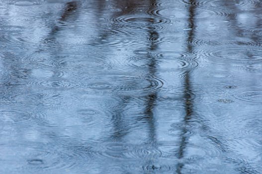 Calm water surface with rain creating rippling effect, capturing a tranquil outdoor scene.