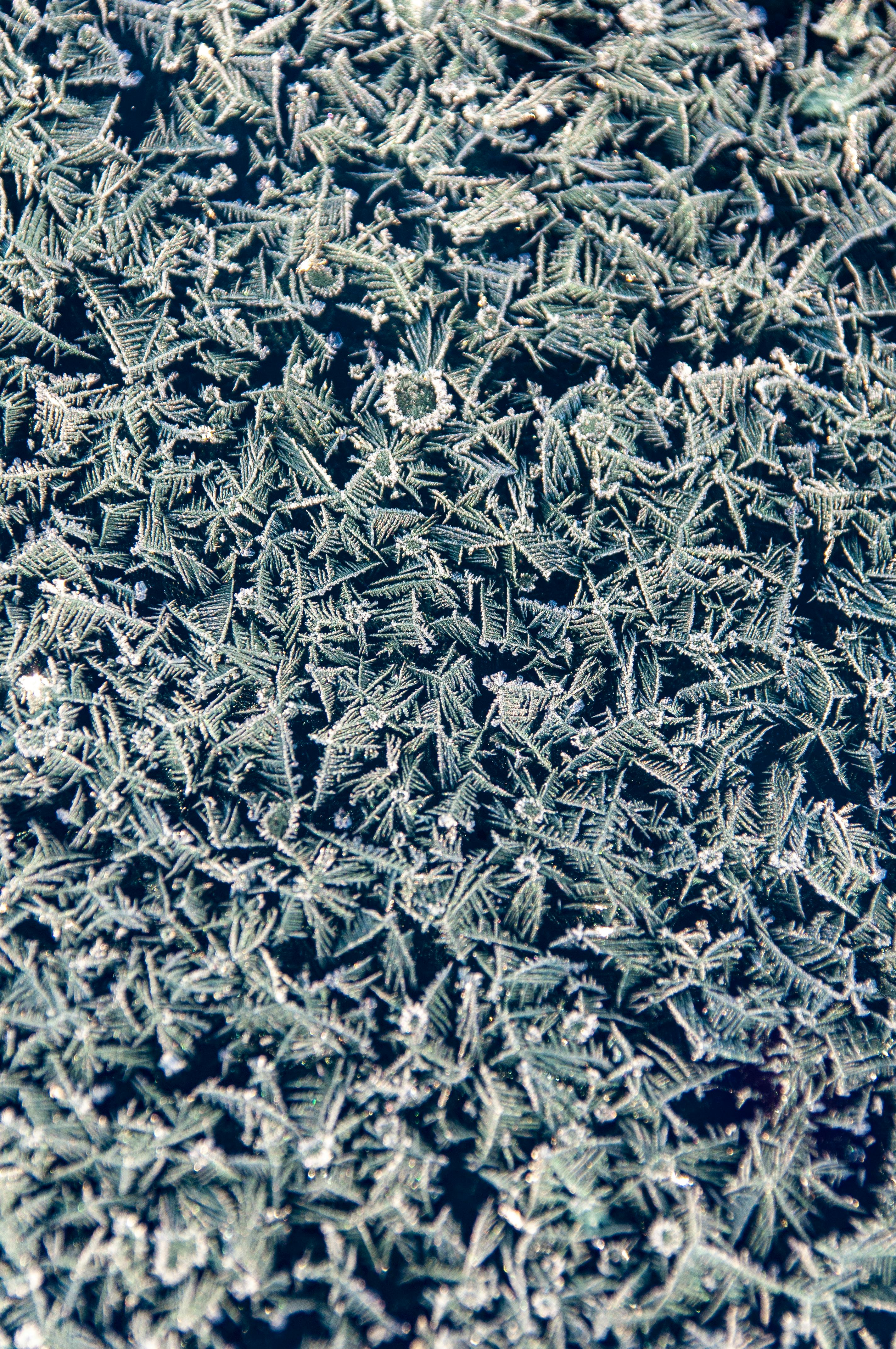 Gratis arkivbilde med abstrakt, årstid, bakgrunn Arkivbilde