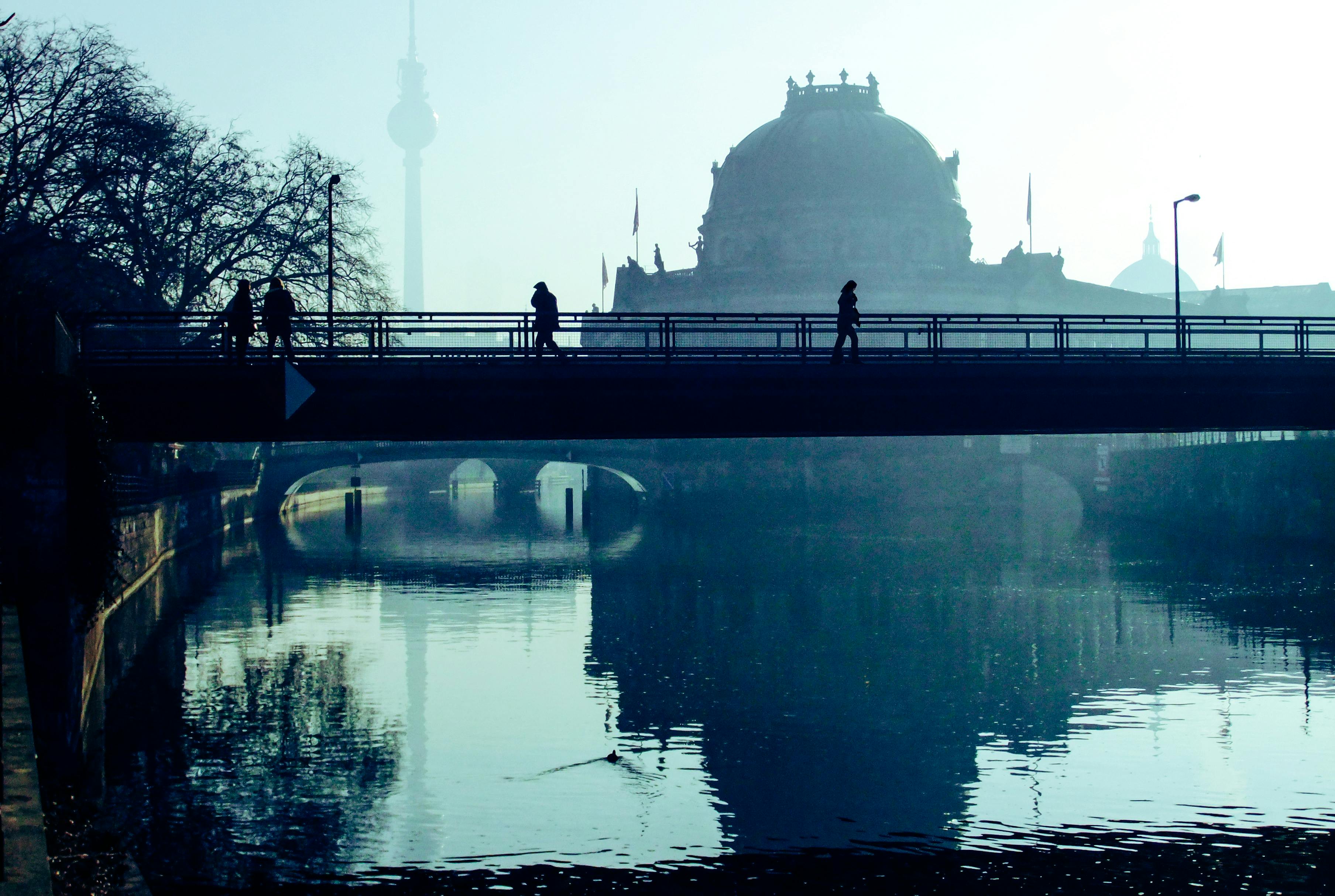 Berlin calls Europe’s immigration hard-liners to summit on asylum rules — Photo by wal_ 172619 on Pexels