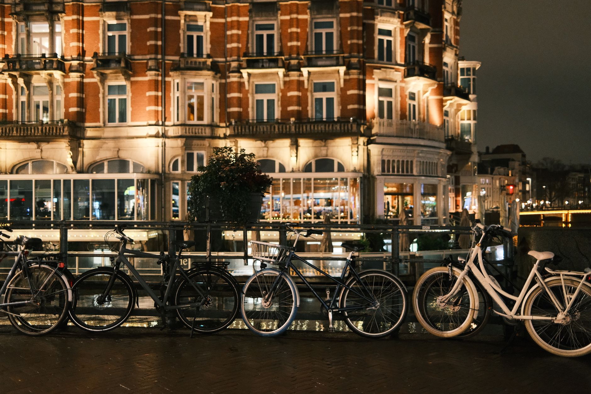Hollanda'da gece bisiklet süren kadınlar