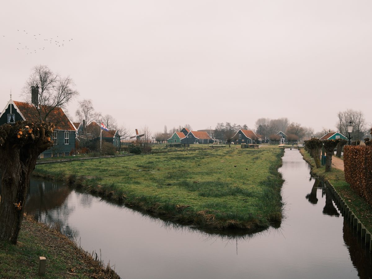 The Reserve 1