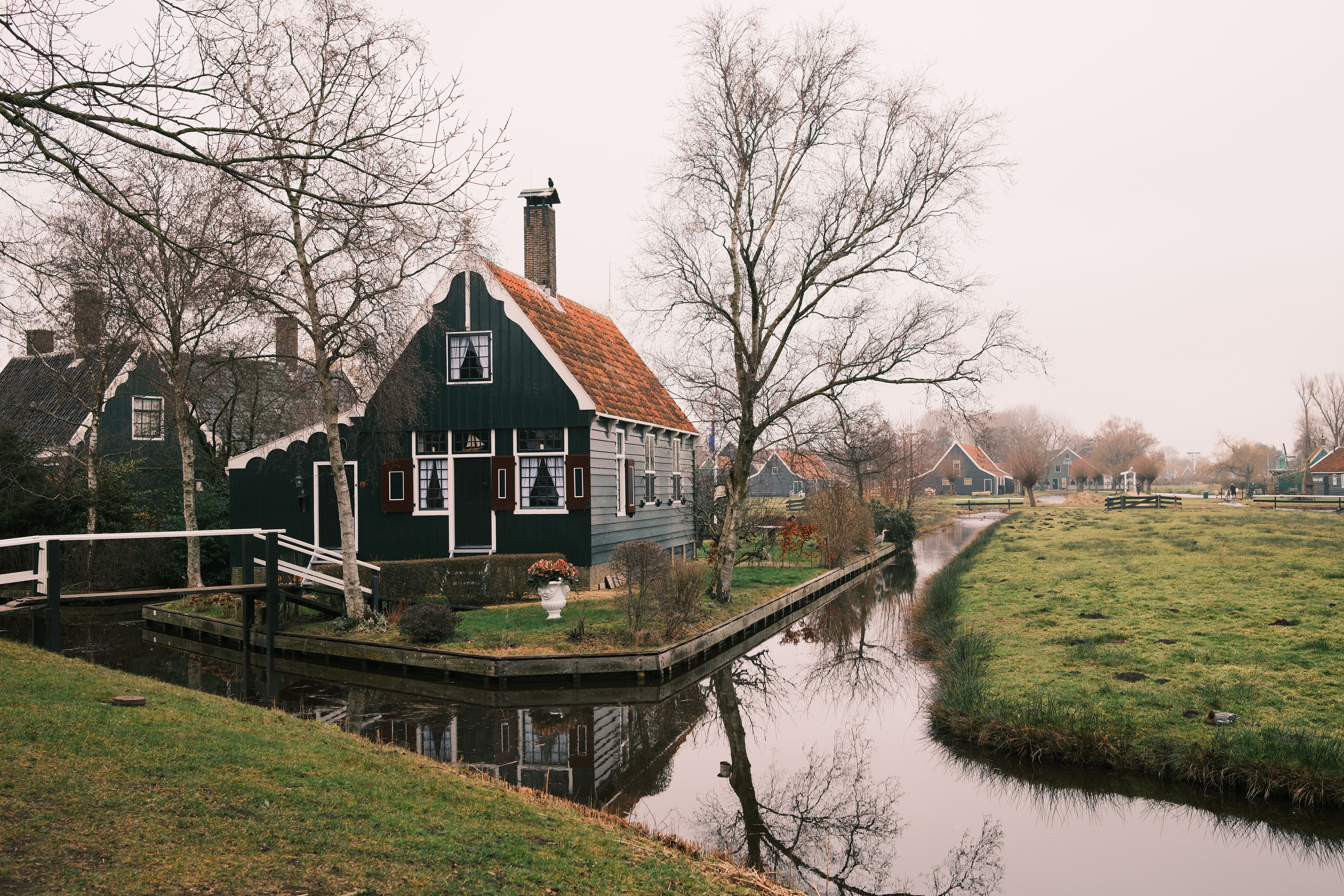 21 Day Ayurvedic Panchakarma Wellness Retreat in the Netherlands 3