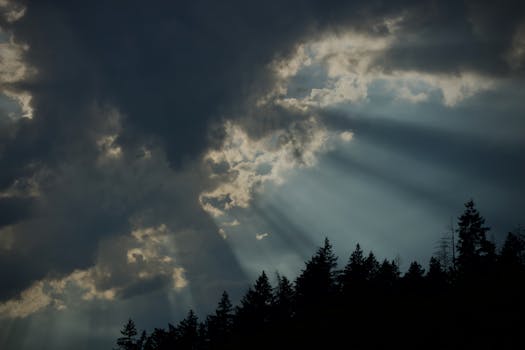 Sunlight breaks through dark clouds casting dramatic rays over a silhouetted forest.