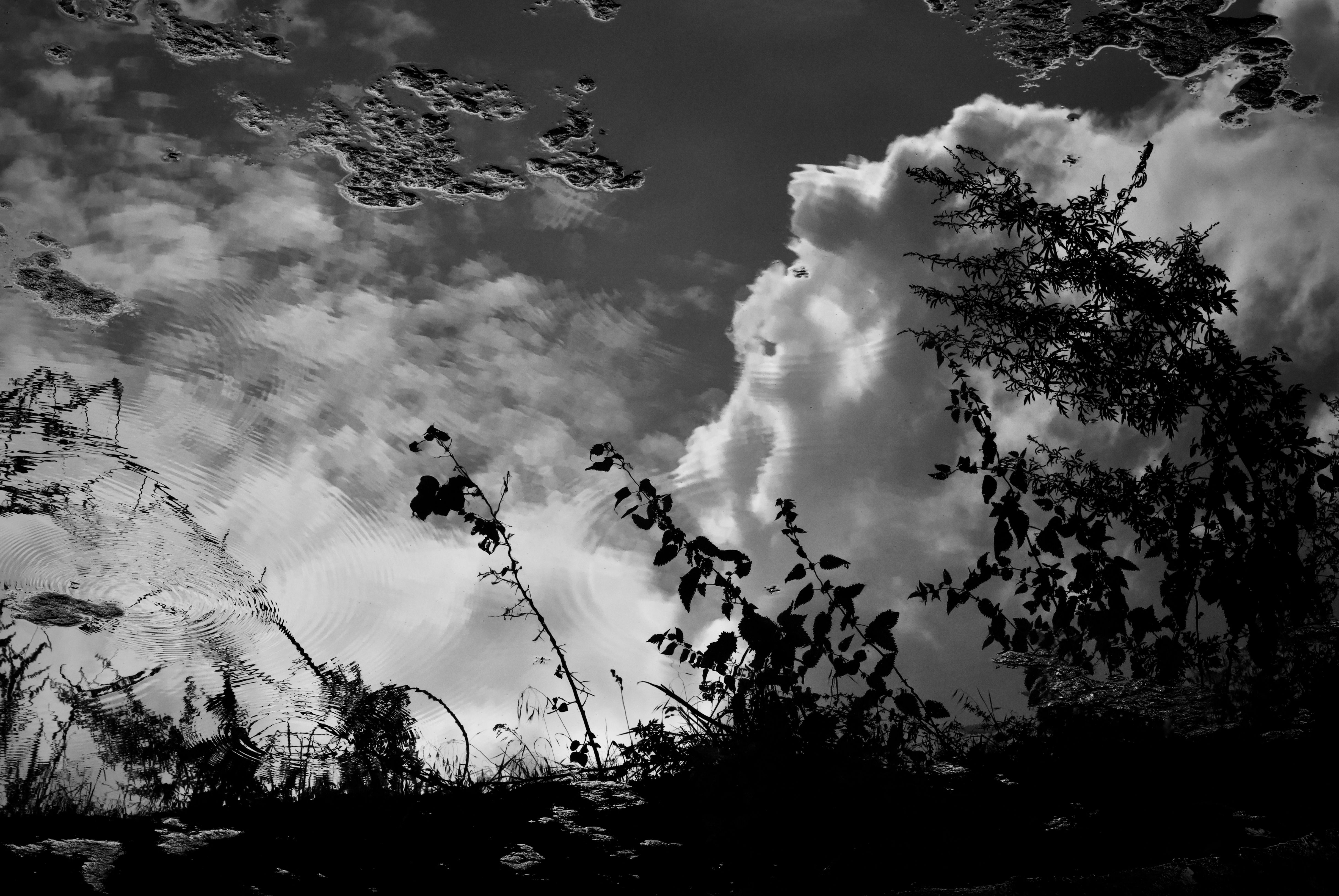Black and White Cloud Reflection in Still Water · Free Stock Photo