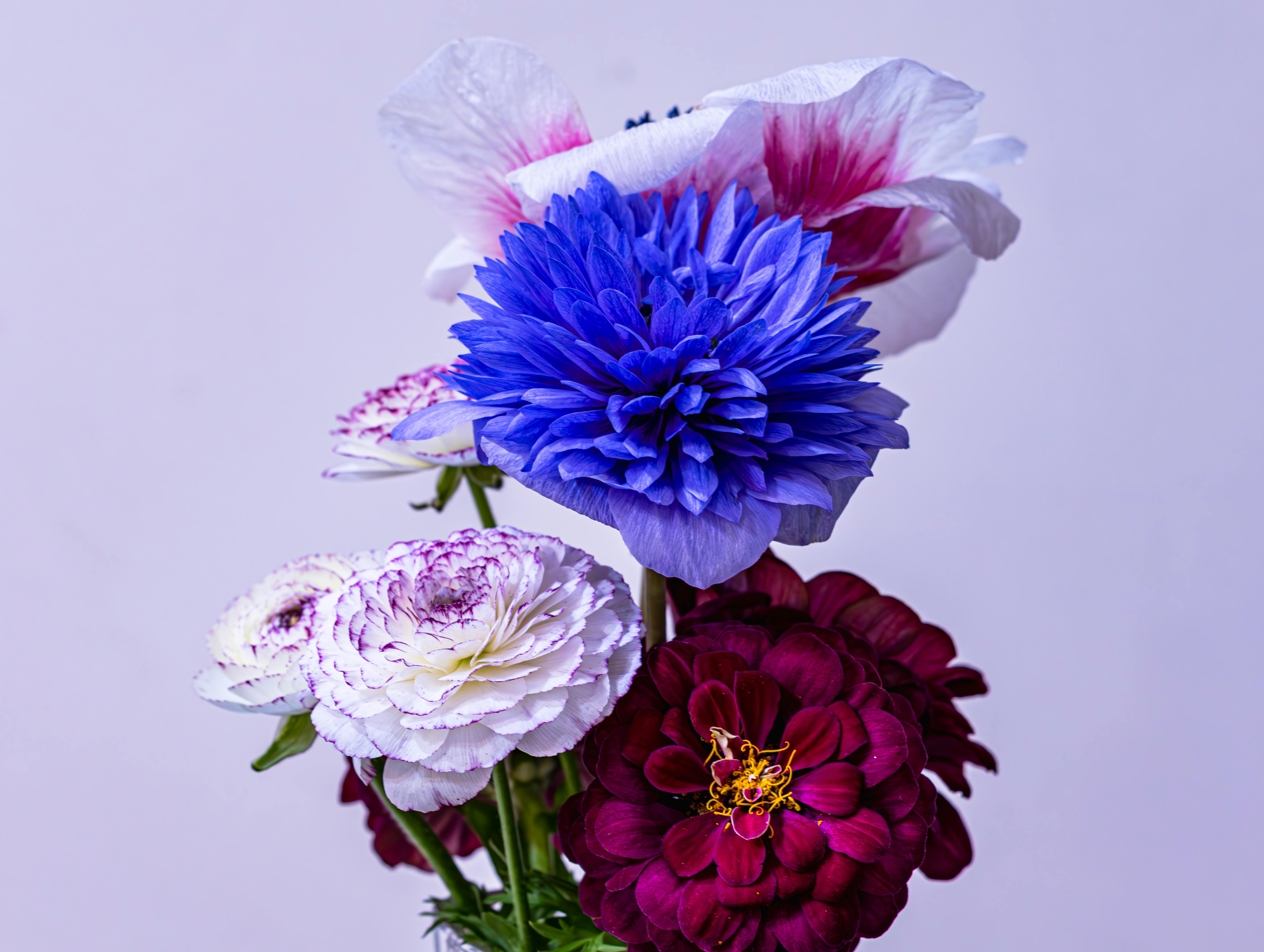[ColoSach]-a-colorful-arrangement-of-various-flowers-showcasing-purple,-white,-and-red-hues.