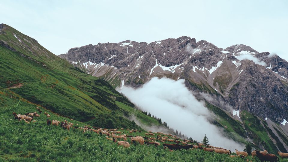 Vorarlberg