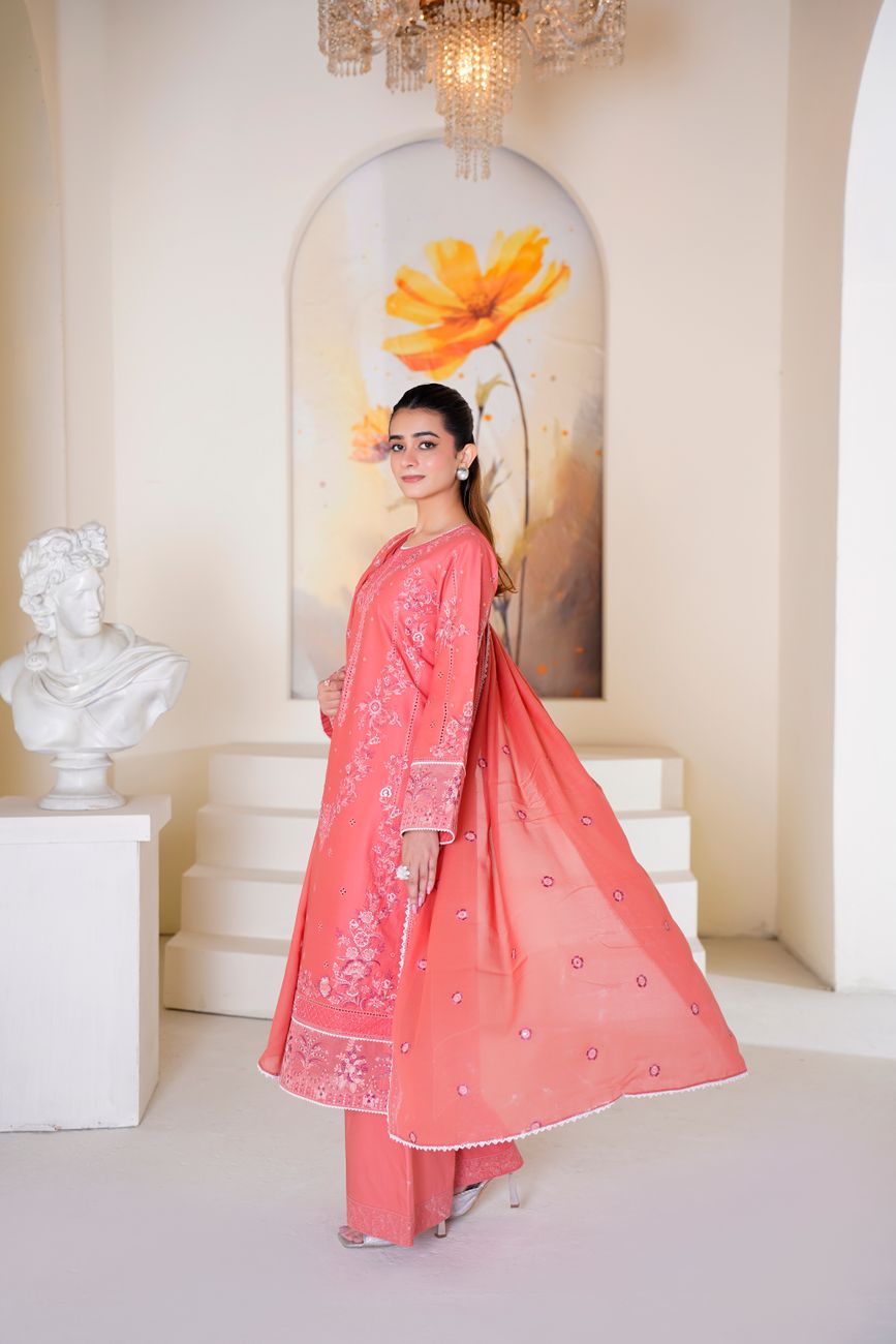 Vibrant Embroidered Dress