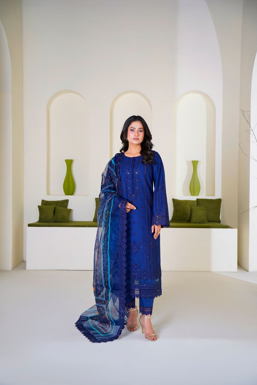 Blue Embroidered Eastern Dress