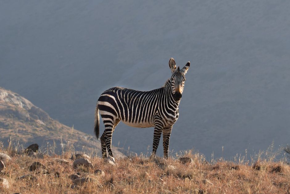 Foto de Ngardok Nature Reserve