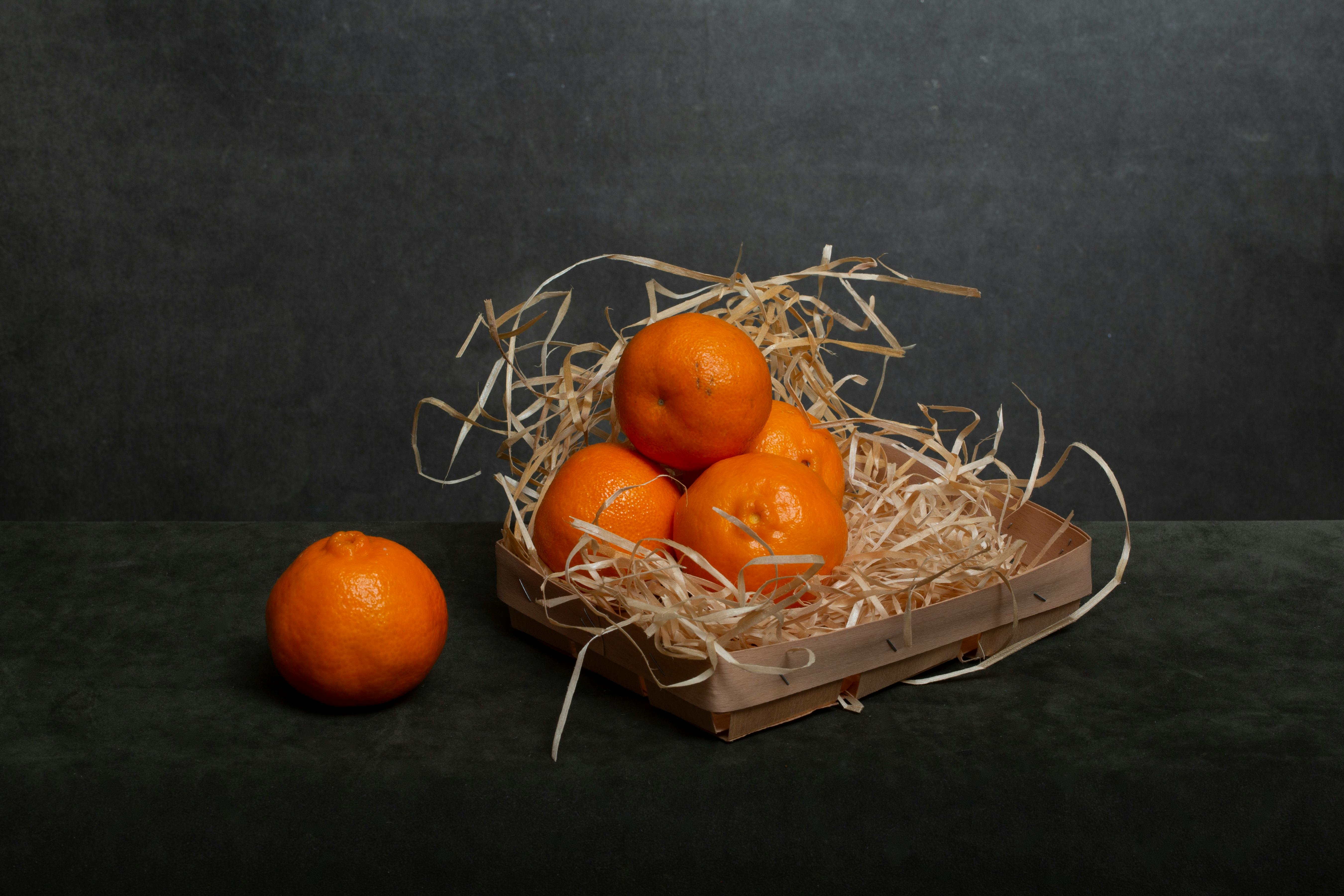 Die 8 besten Dörrautomaten 2026: Test & Vergleich