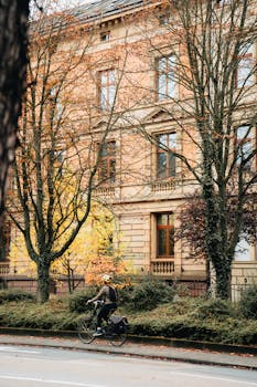 A cyclist travels through the autumn streets of Frankfurt in front of a historical building.