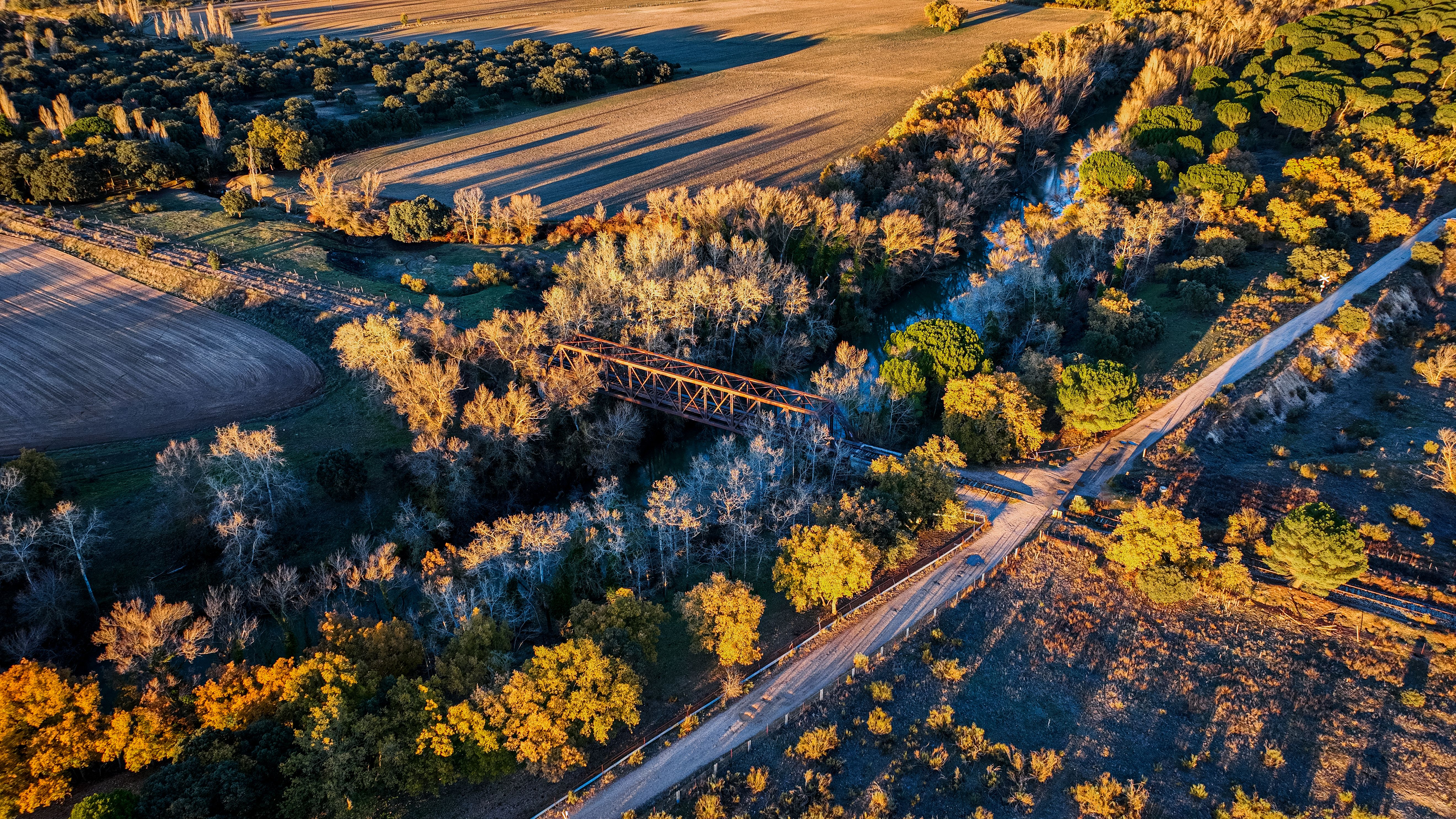 Captivating aerial view of a rustic bridge surrounded by autumn trees in Valladolid, Spain at sunset.