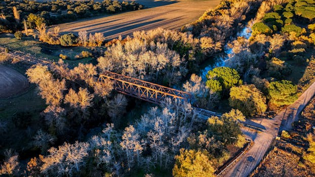 Aerial photo of an iron bridge surrounded by trees in Valladolid, Spain during sunset.
