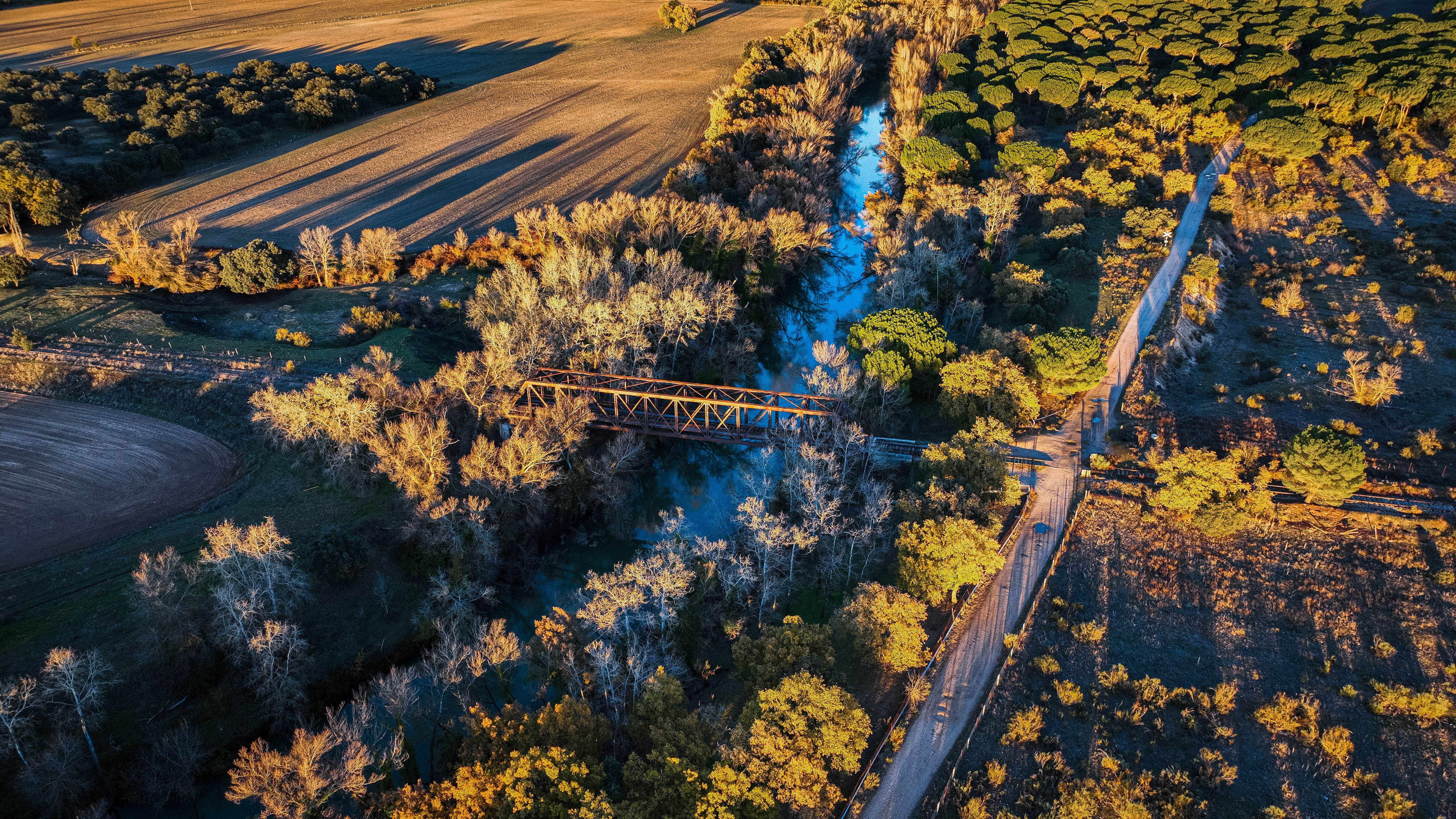 Un puente de hierro sobre el río, entre pinares y campos de labor castellanos