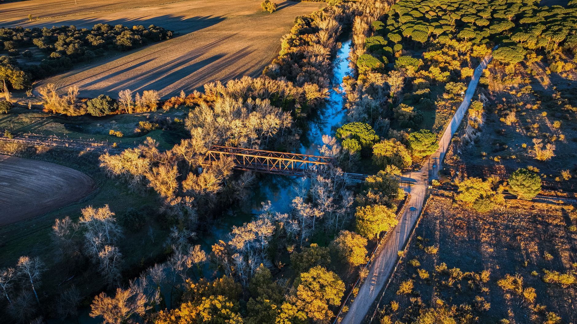 Un puente de hierro sobre el río, entre pinares y campos de labor castellanos