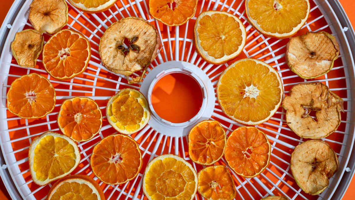 Déshydrateur alimentaire maison 2026 lequel choisir