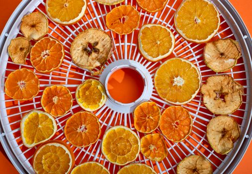 A vibrant display of dehydrated orange and apple slices arranged on a drying tray.