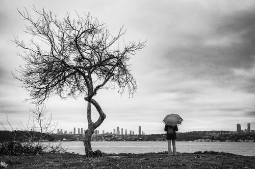 Free A lone woman with an umbrella stands by a tree overlooking the Istanbul skyline in the rain. Stock Photo