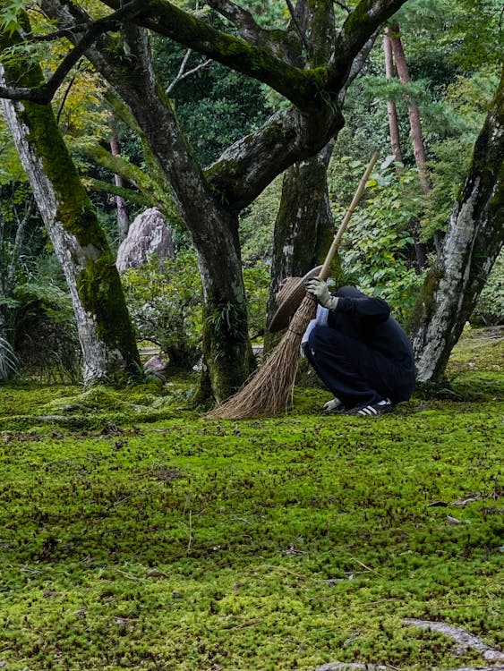 Free Anonymous cleaner with broom working in park Stock Photo
