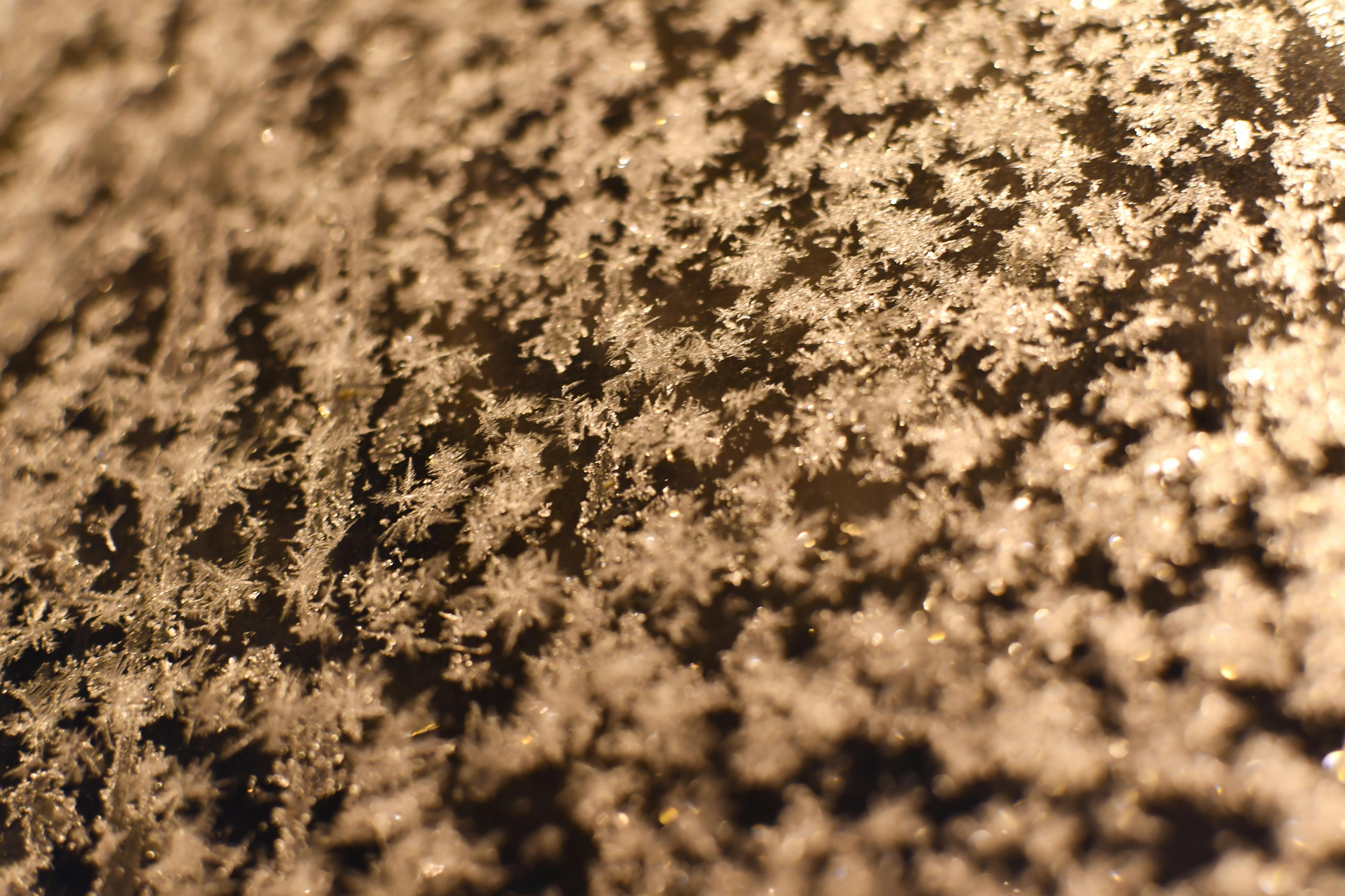 Gratis Immagine gratuita di arte del ghiaccio, artigianato della neve, astratto Foto a disposizione