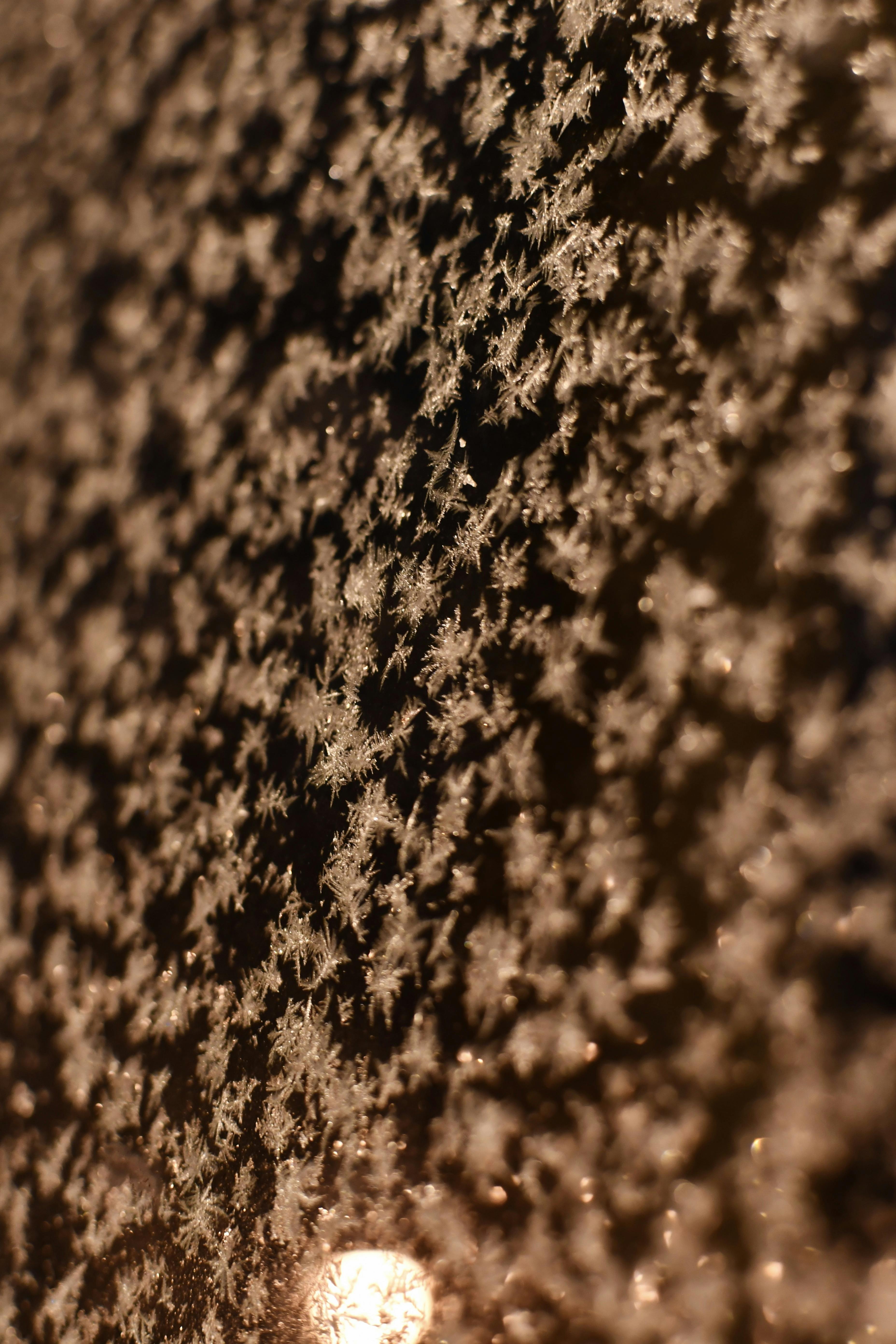 Gratis Nærbilde av delikate frostkrystaller som danner intrikate mønstre på en vindusrute. Arkivbilde