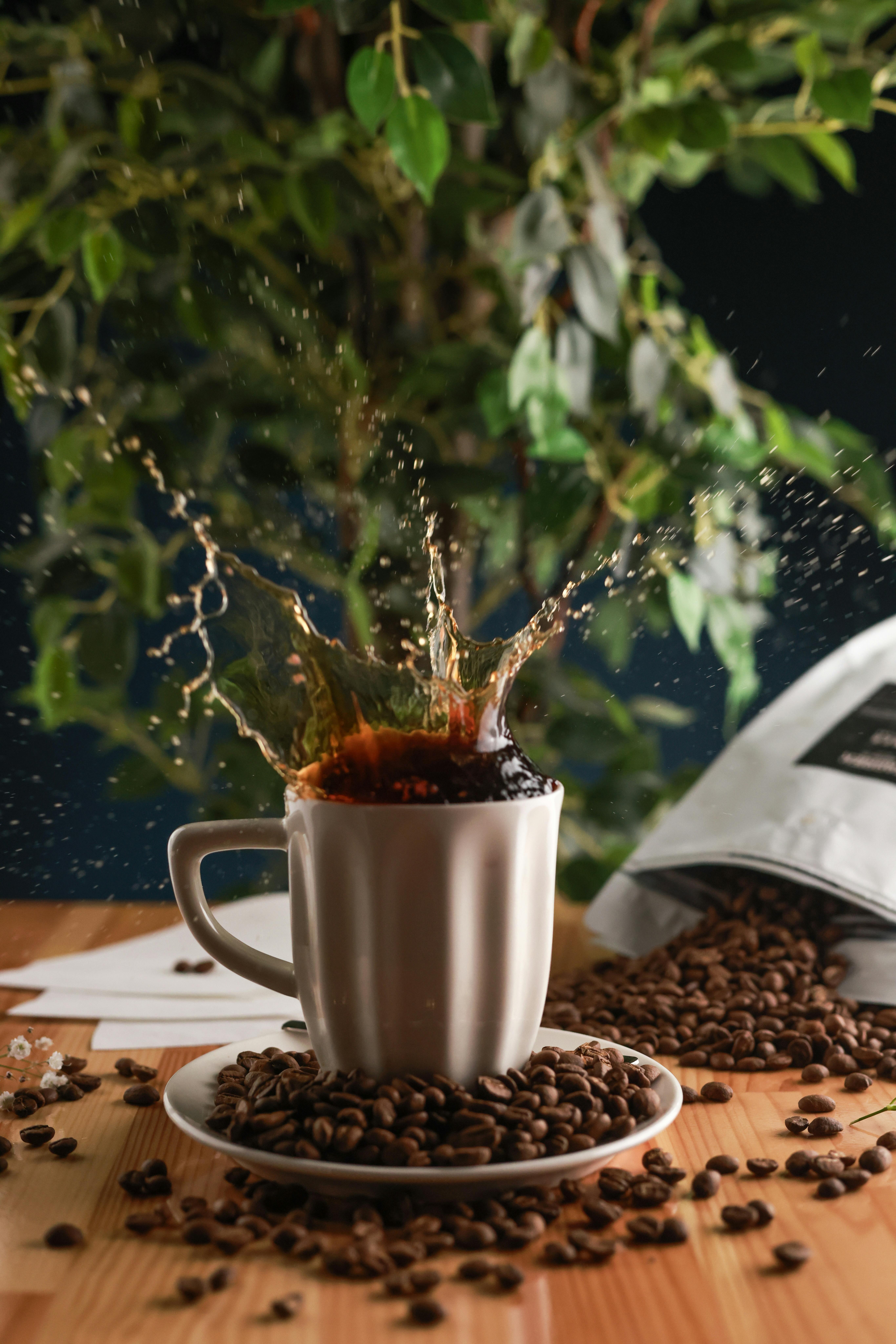 Free Mid-air coffee splash captured with beans on table, creating a dynamic and dramatic effect. Stock Photo