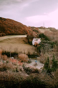 威尔士乡村风光如画，房屋坐落在连绵起伏的丘陵之中