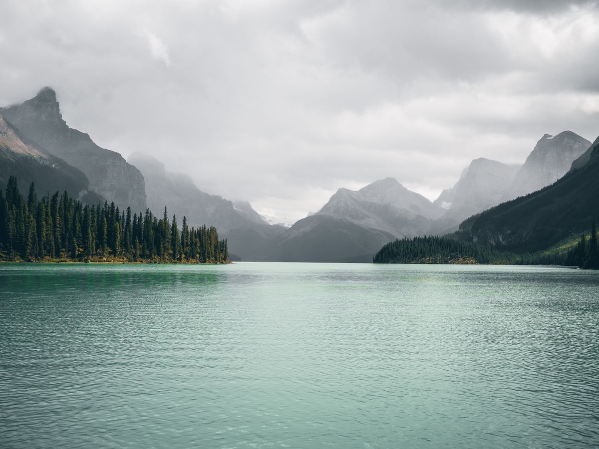 3 Day Psilocybin Deep Self-Exploration & Shadow Work in Canada 1