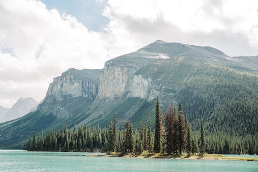 A breathtaking view of mountains, evergreen forests, and a turquoise lake under a bright sky.