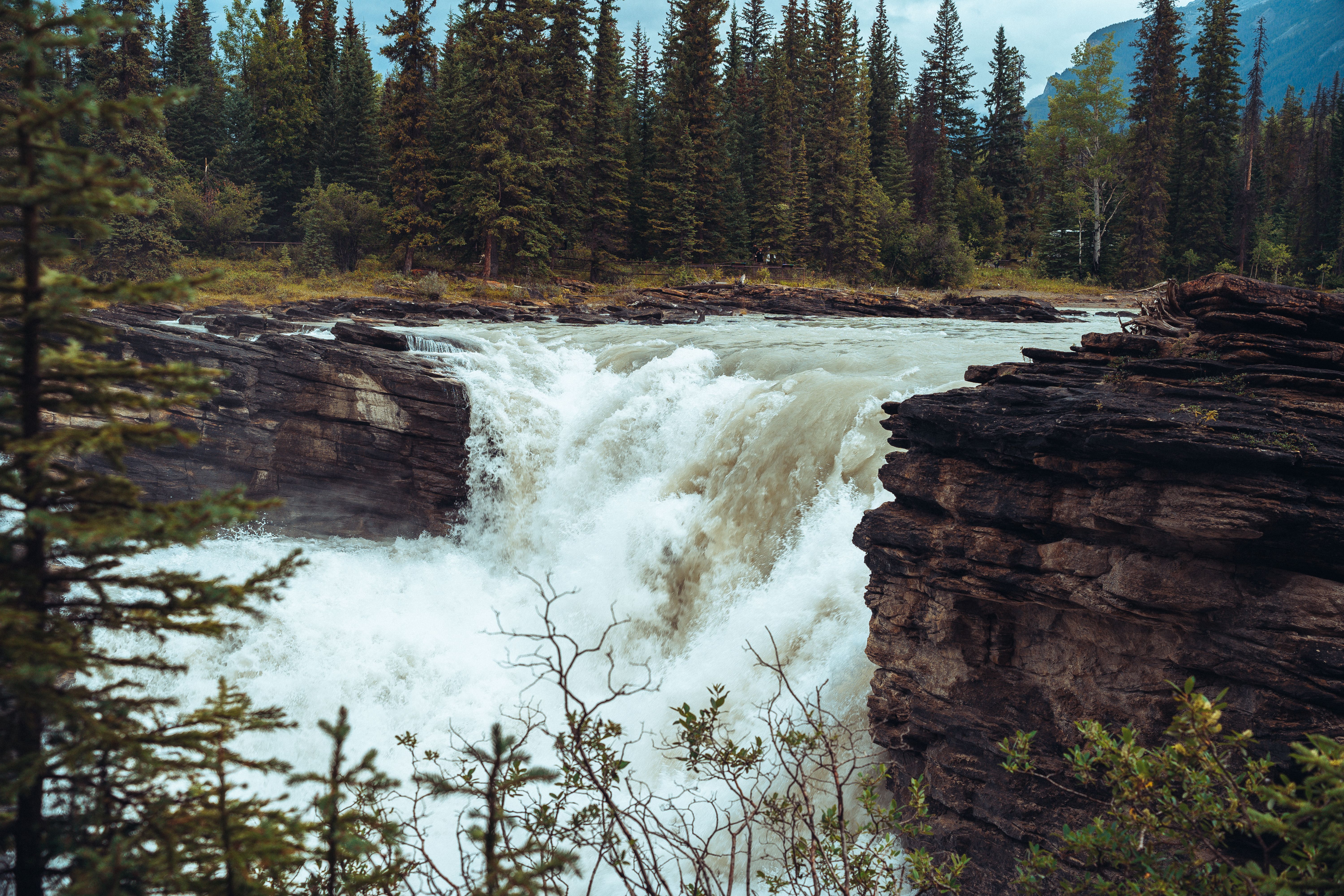 Athabasca Falls horseshoe waterfall